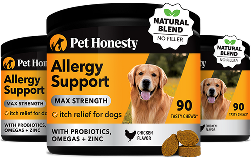 Allergy medicine for pregnant dogs hotsell