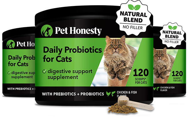 Cat Probiotics Powder 3-Pack PetHonesty