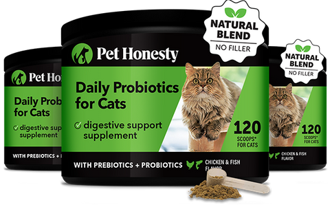 Digestive Probiotics For Cats 3 Pack PetHonesty Pet Honesty