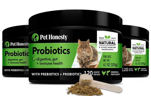 Cat Probiotics Powder 3-Pack PetHonesty