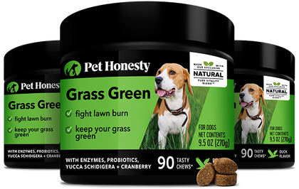 Grass Green 3-Pack (Duck Flavor)