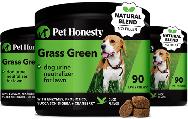 Grass Green 3-Pack (Duck Flavor) 3-Packs PetHonesty
