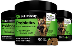 Probiotics Gut + Immune Health 3-Pack (Pumpkin Flavor)