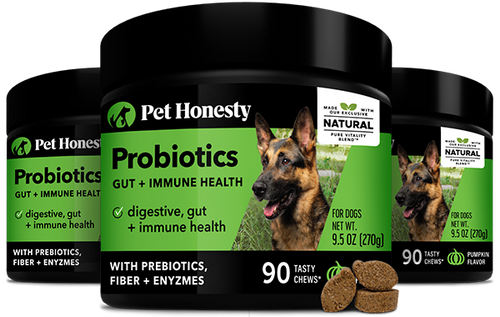 Digestive Probiotics (Pumpkin Flavor) 3-Pack PetHonesty