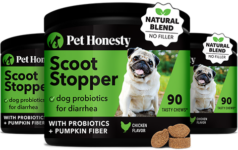 ドッグフード pont Scoot Stopper Chews for Dogs (3-Pack) | Pet Honesty