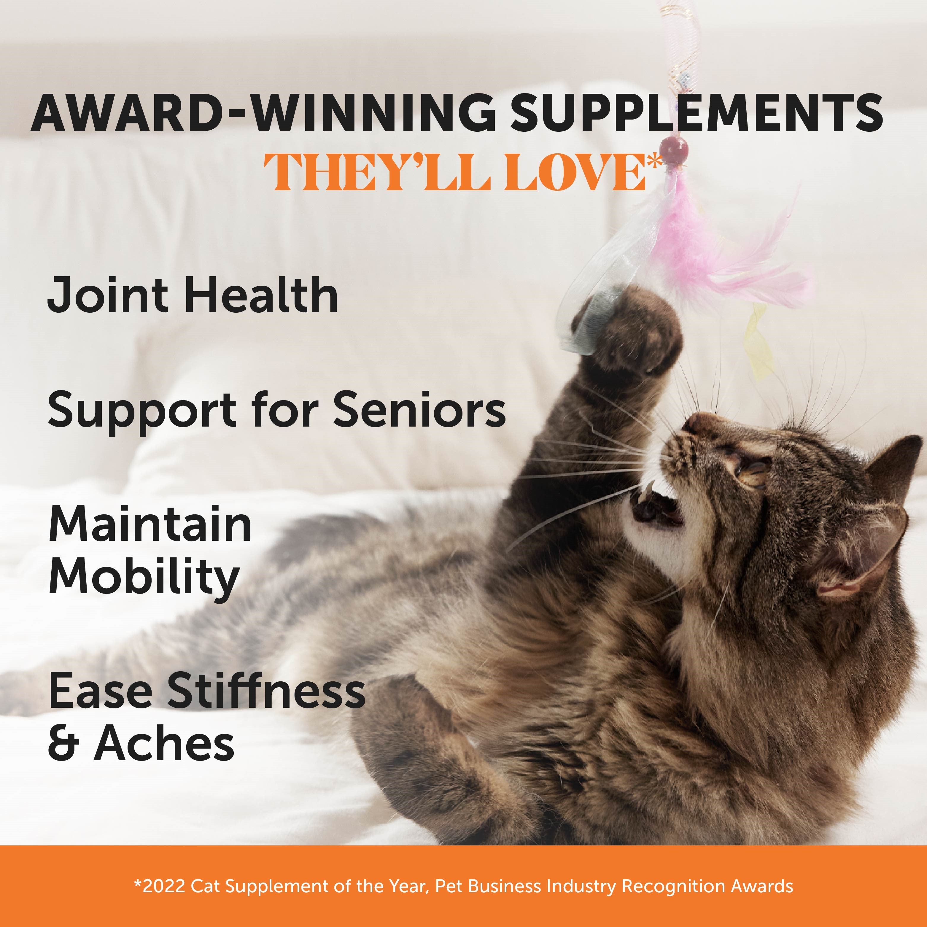 Dual Texture Hip & Joint Supplement for Cats 3-Pack (Chicken Flavor)