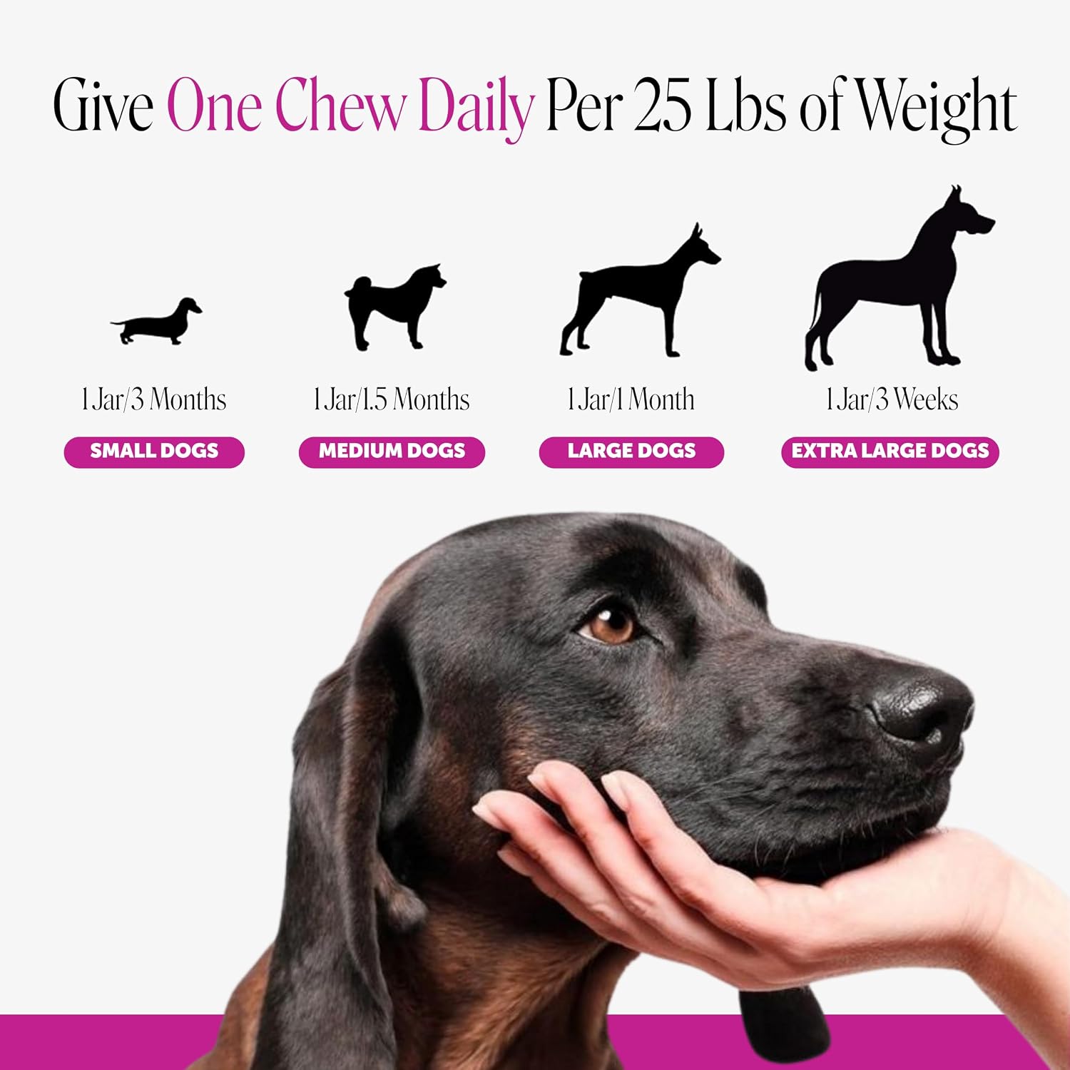 Multivitamin 10-in-1 Chews for Dogs (Chicken Flavor)