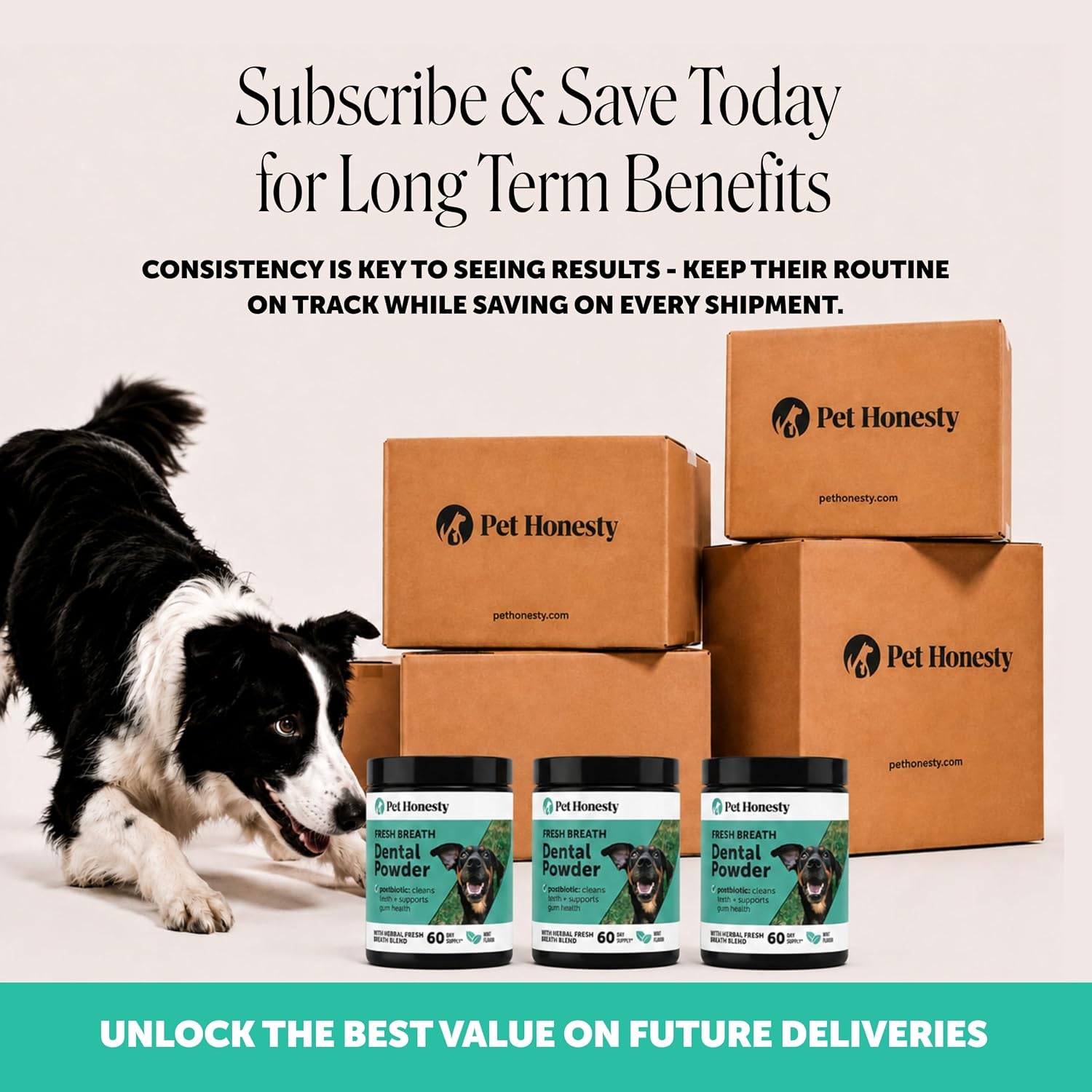 Fresh Breath Dental Powder for Dogs (60 servings)