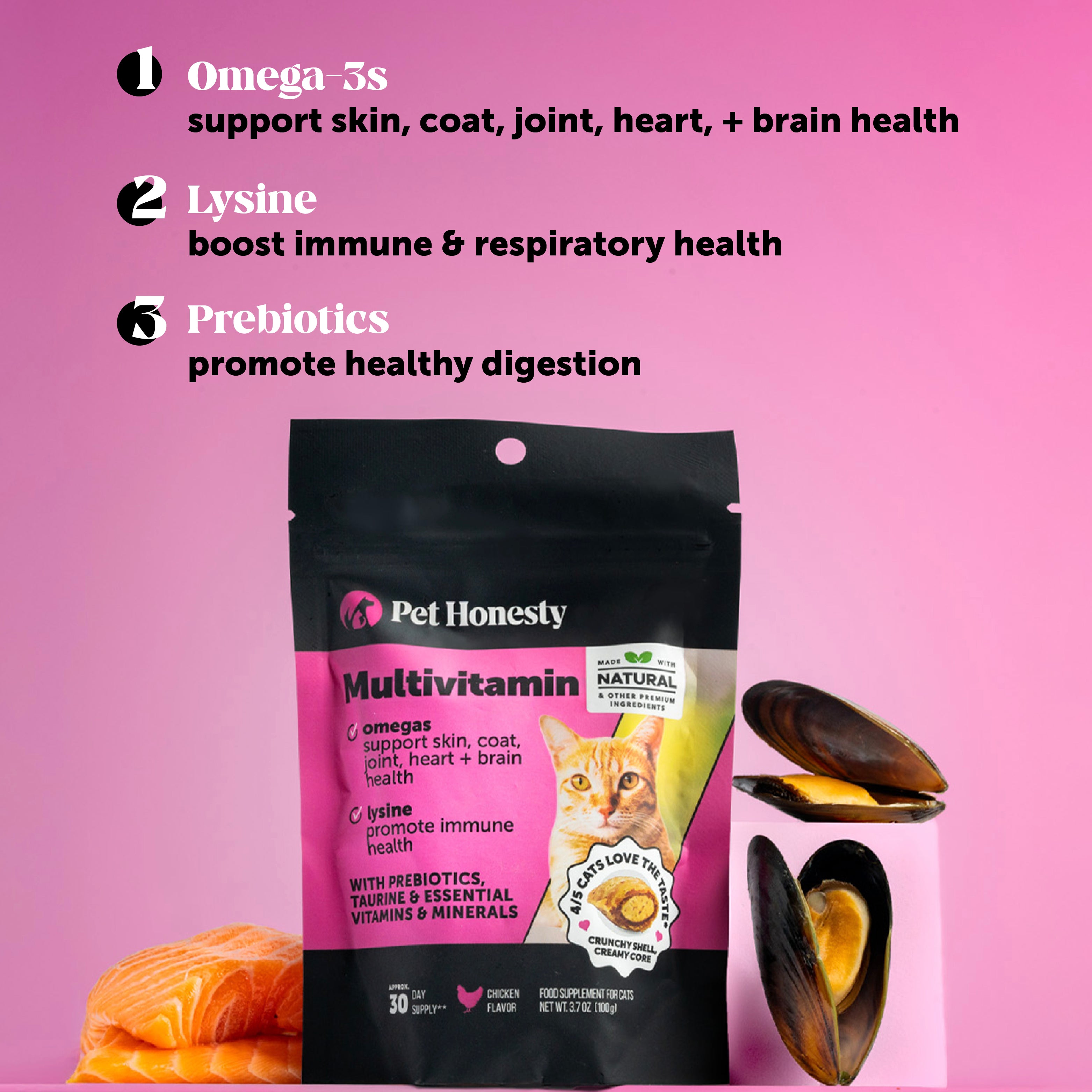 Healthy Kitten Essentials Bundle