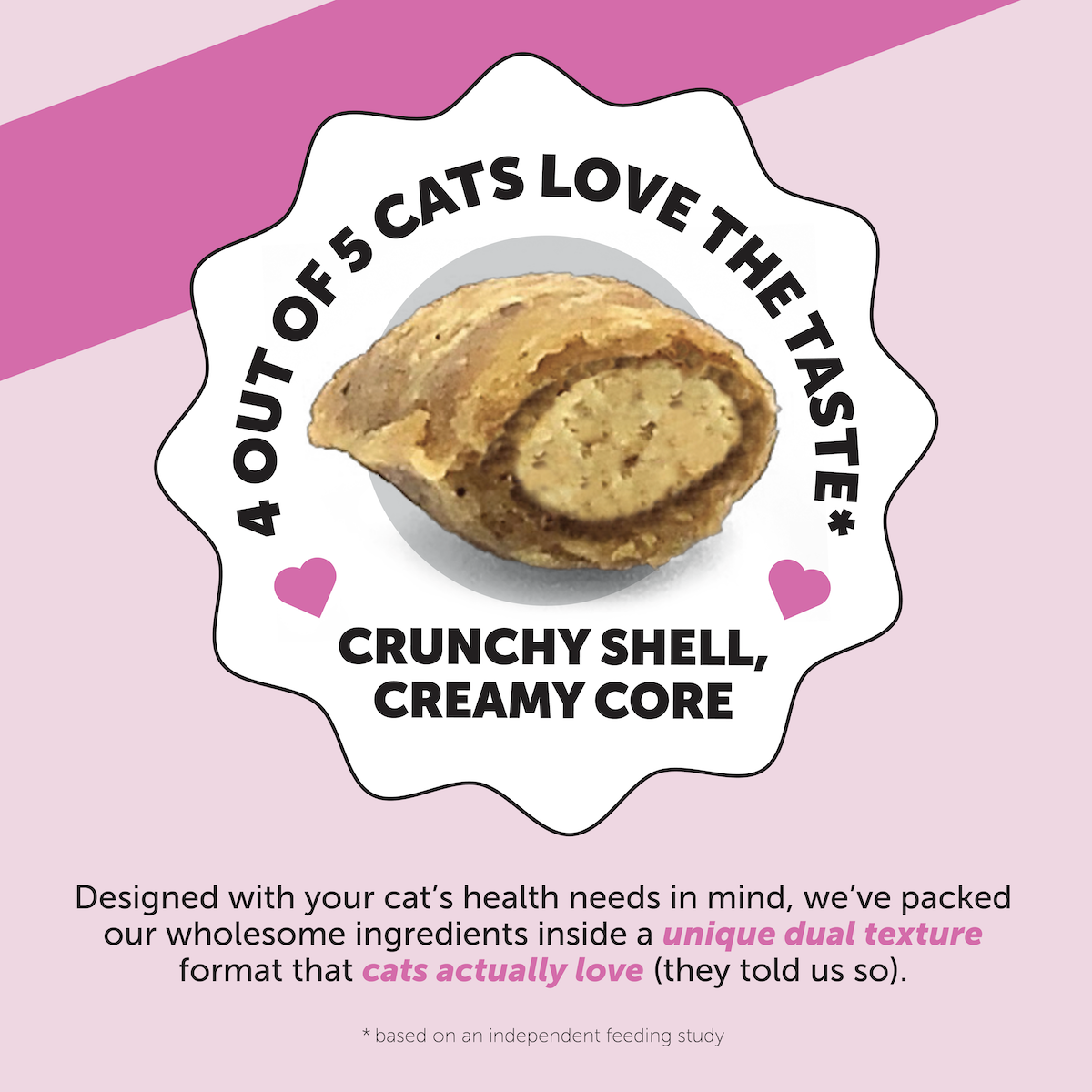 Healthy Kitten Essentials Bundle