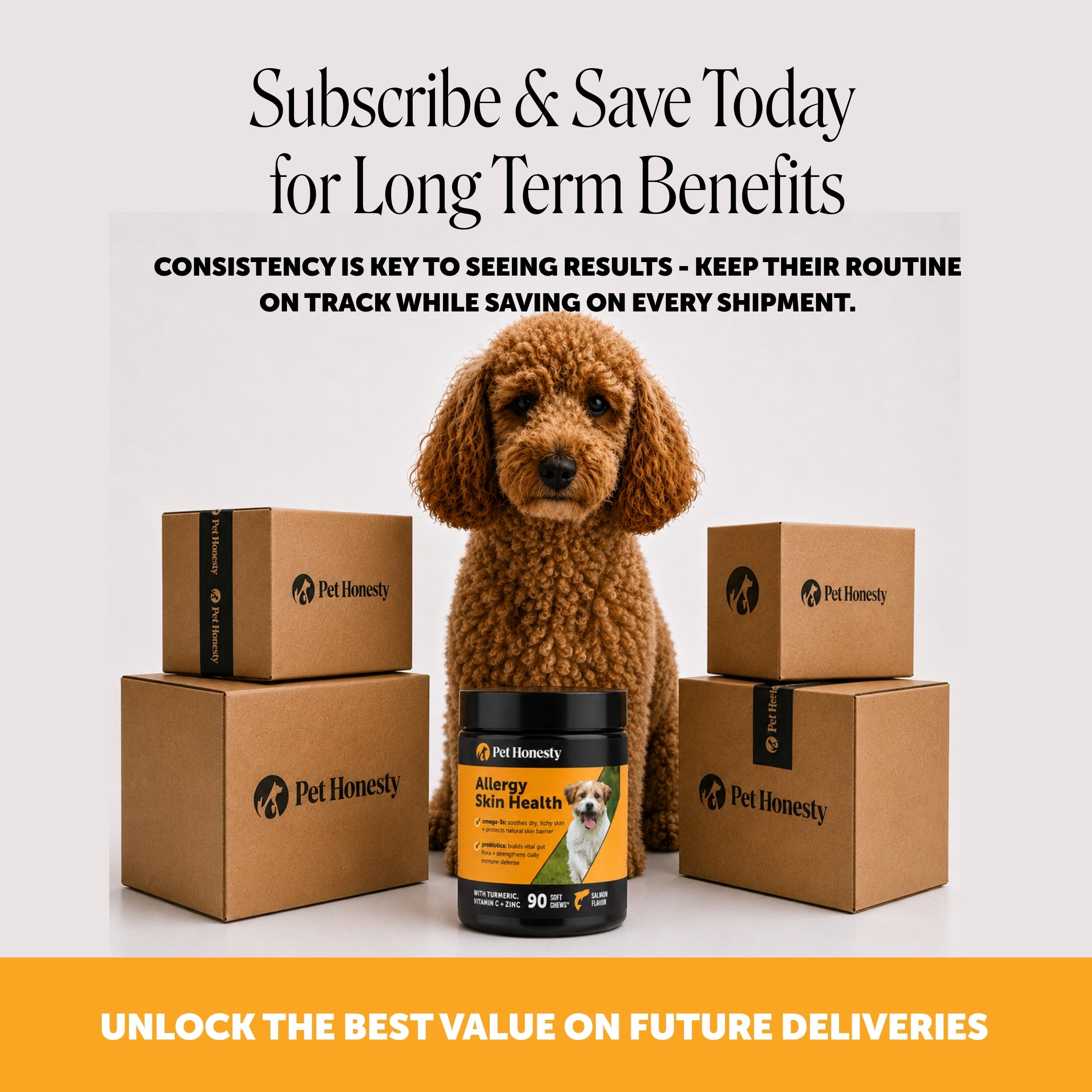 Allergy Skin Health (Salmon Flavor)