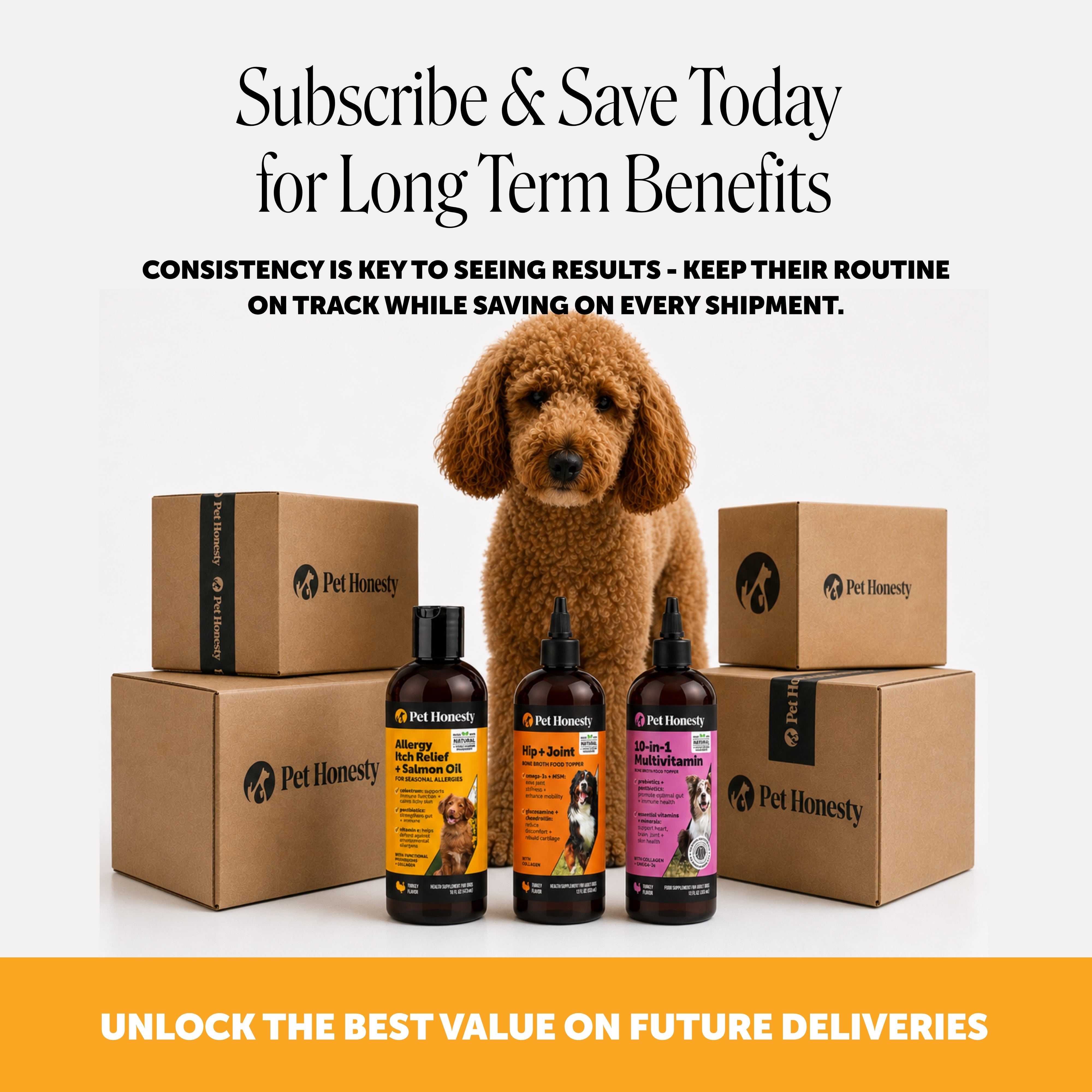 Allergy Itch Relief + Salmon Oil (16 Ounce)