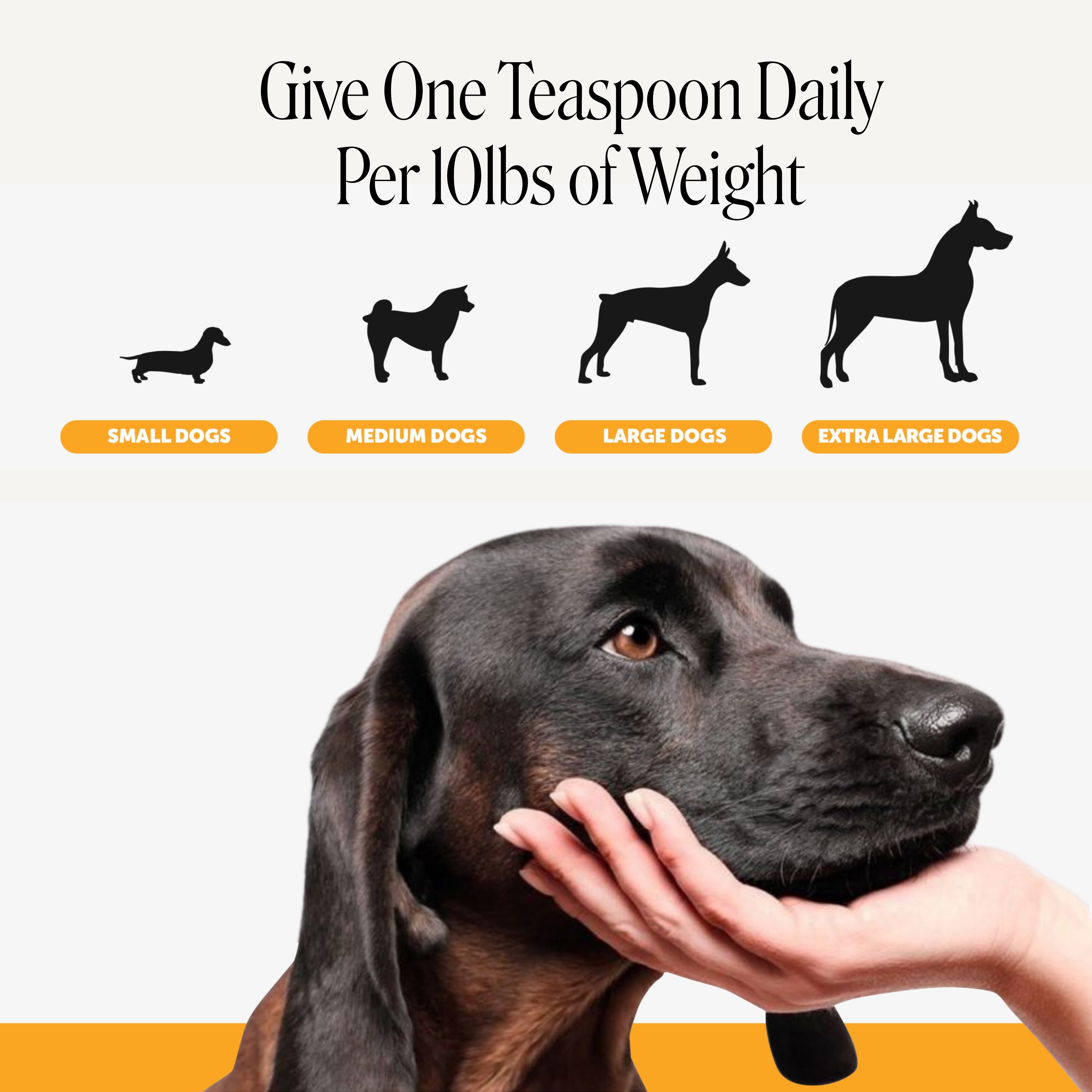 Allergy Itch Relief + Salmon Oil (16 Ounce)