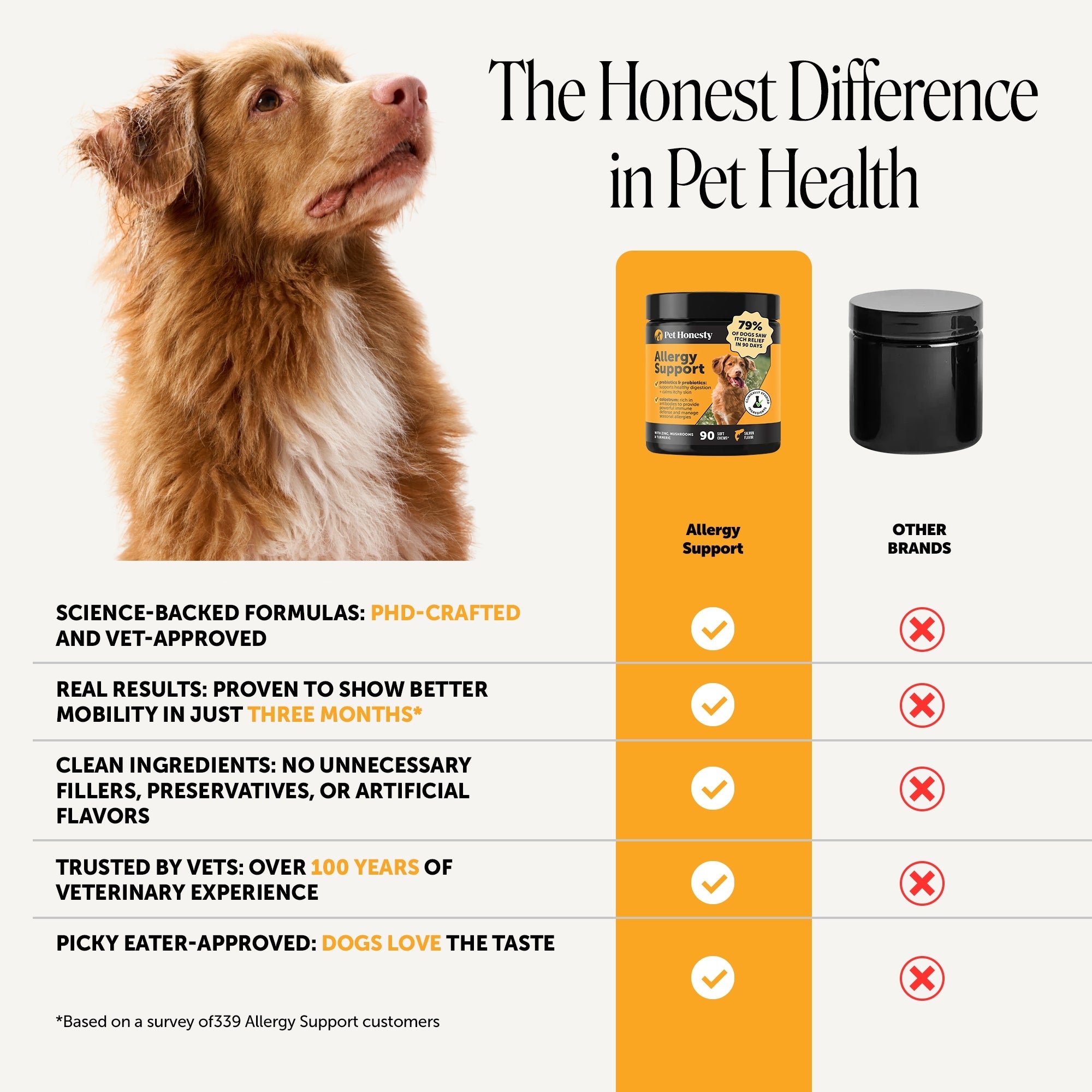 Allergy Support Chews for Dogs (Peanut Butter Flavor)