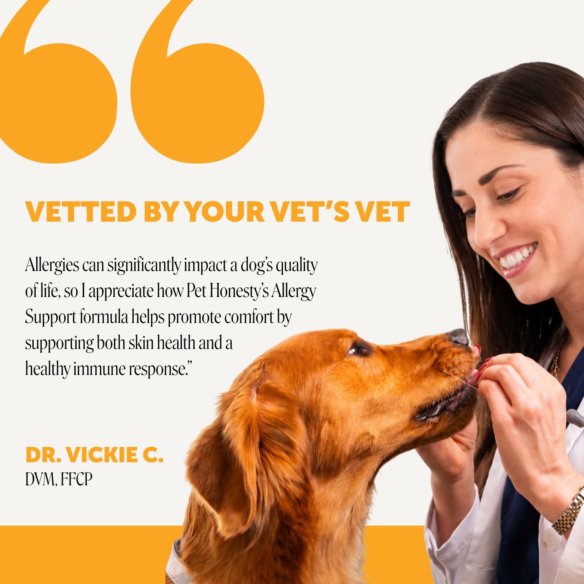 Allergy Support Chews for Dogs (Peanut Butter Flavor)