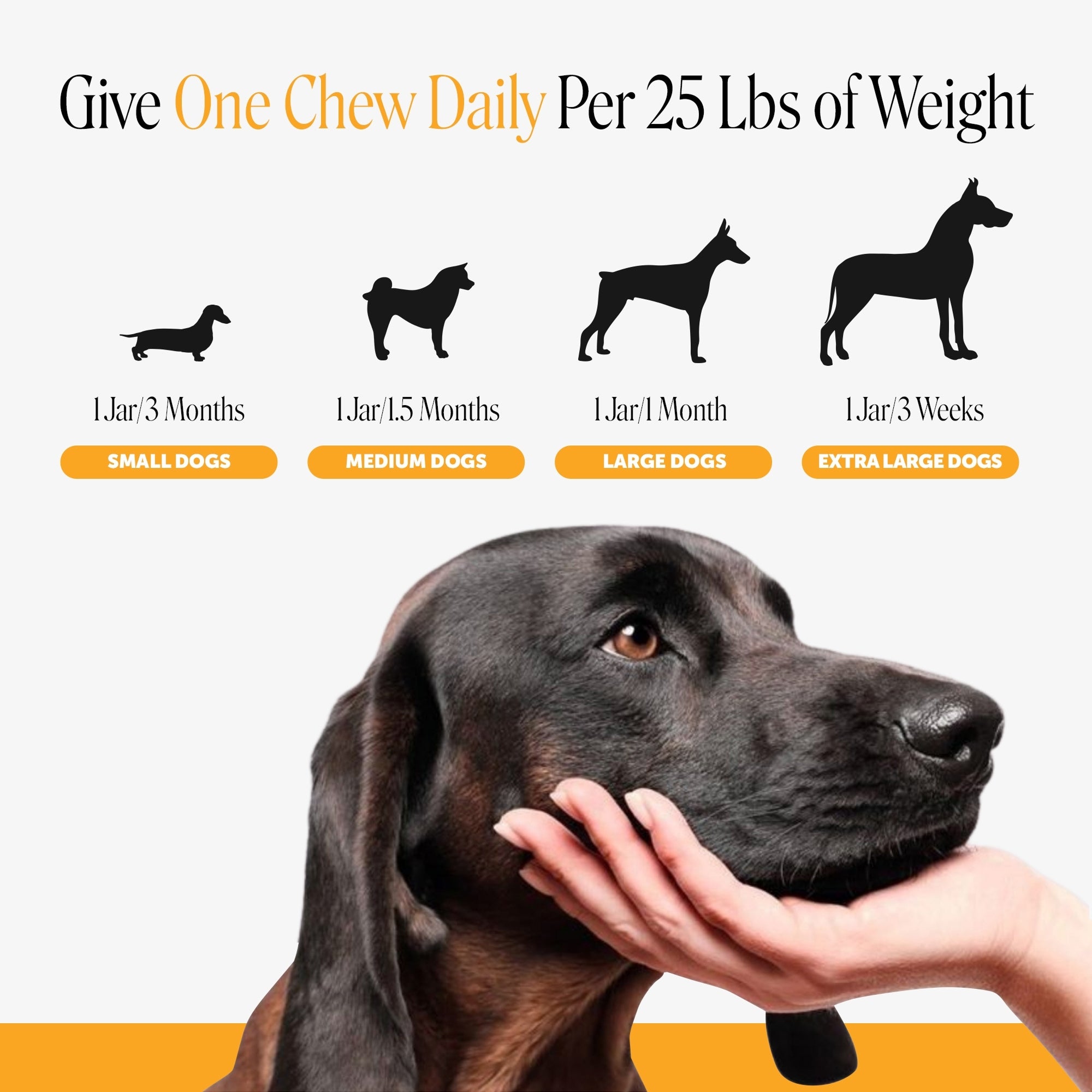 Allergy Support Max Strength for Dogs (Chicken Flavor)