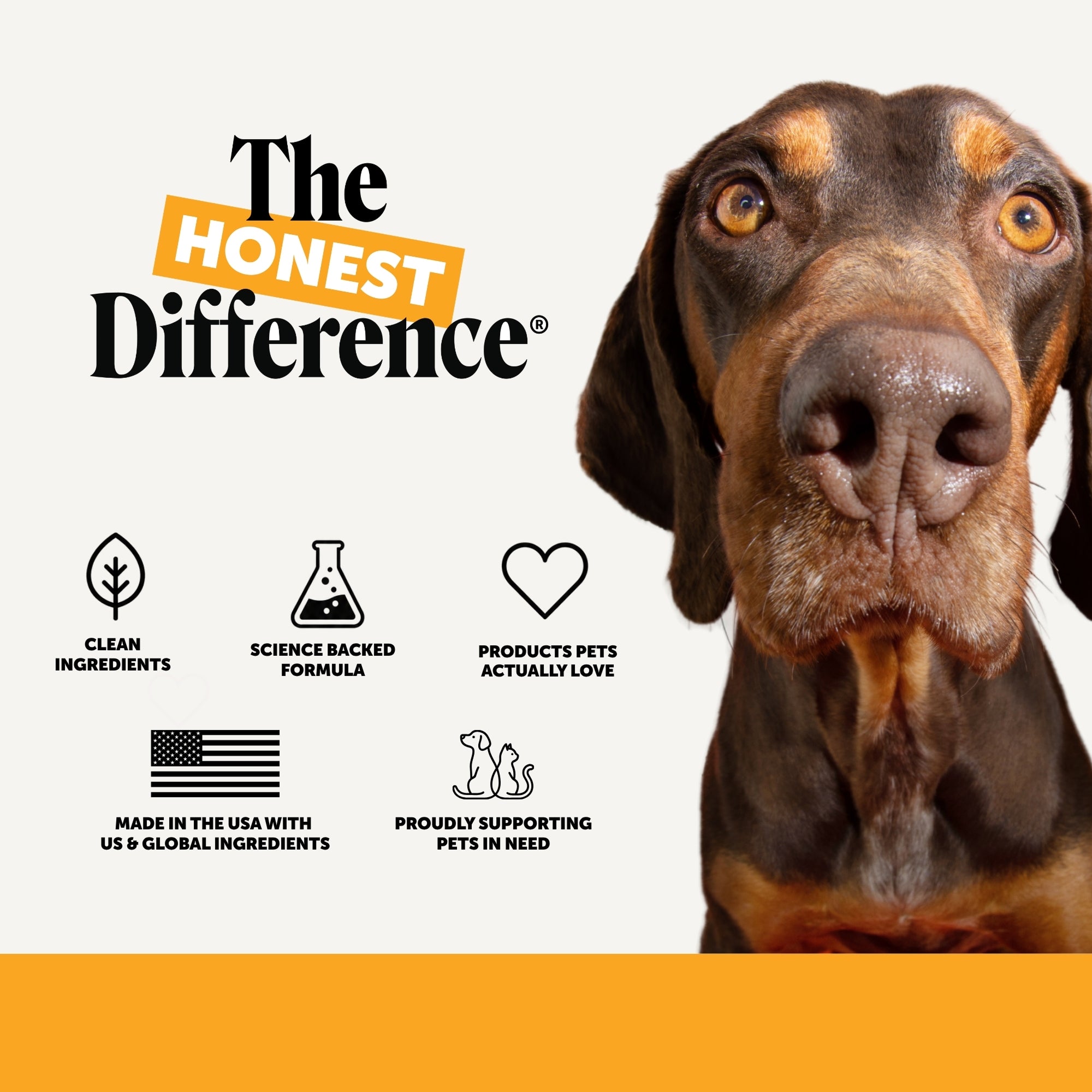 Allergy Support Max Strength for Dogs (Chicken Flavor)