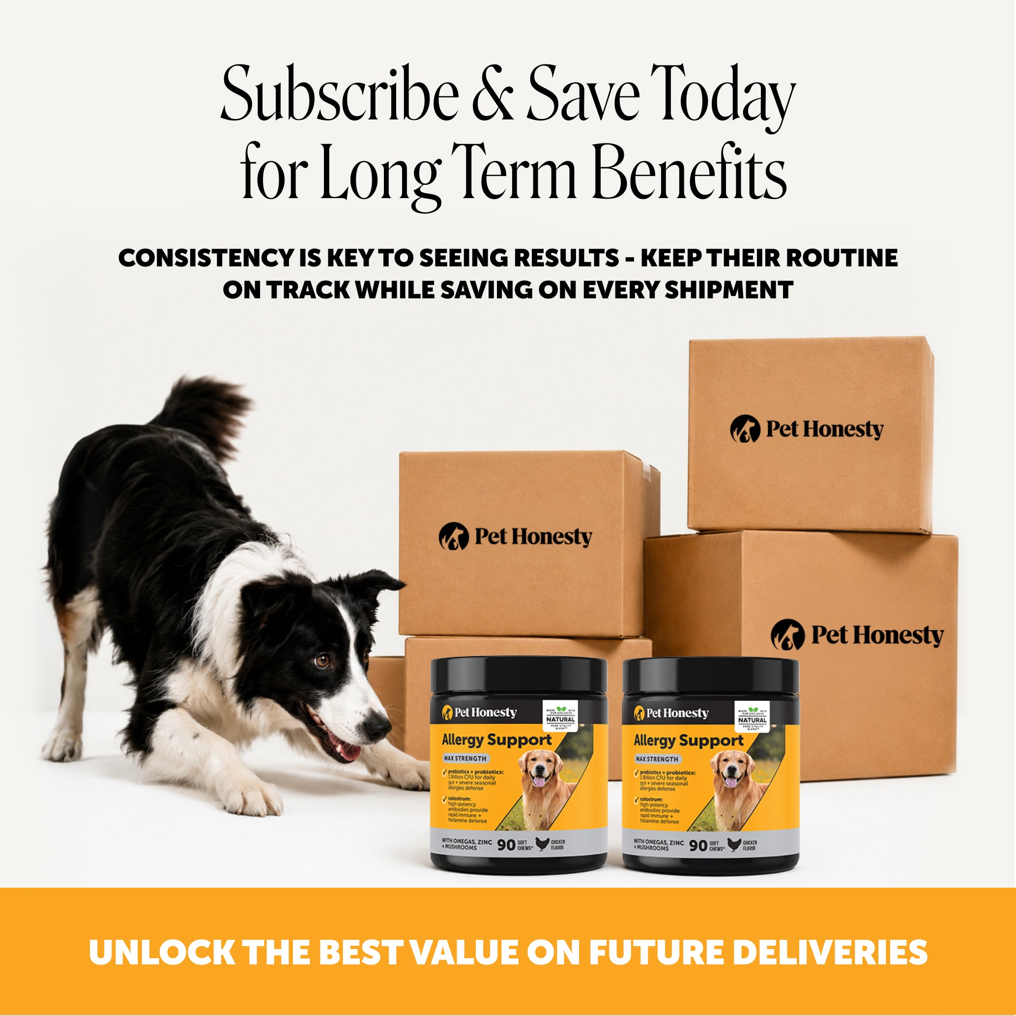 Allergy Support Max Strength for Dogs (Chicken Flavor)