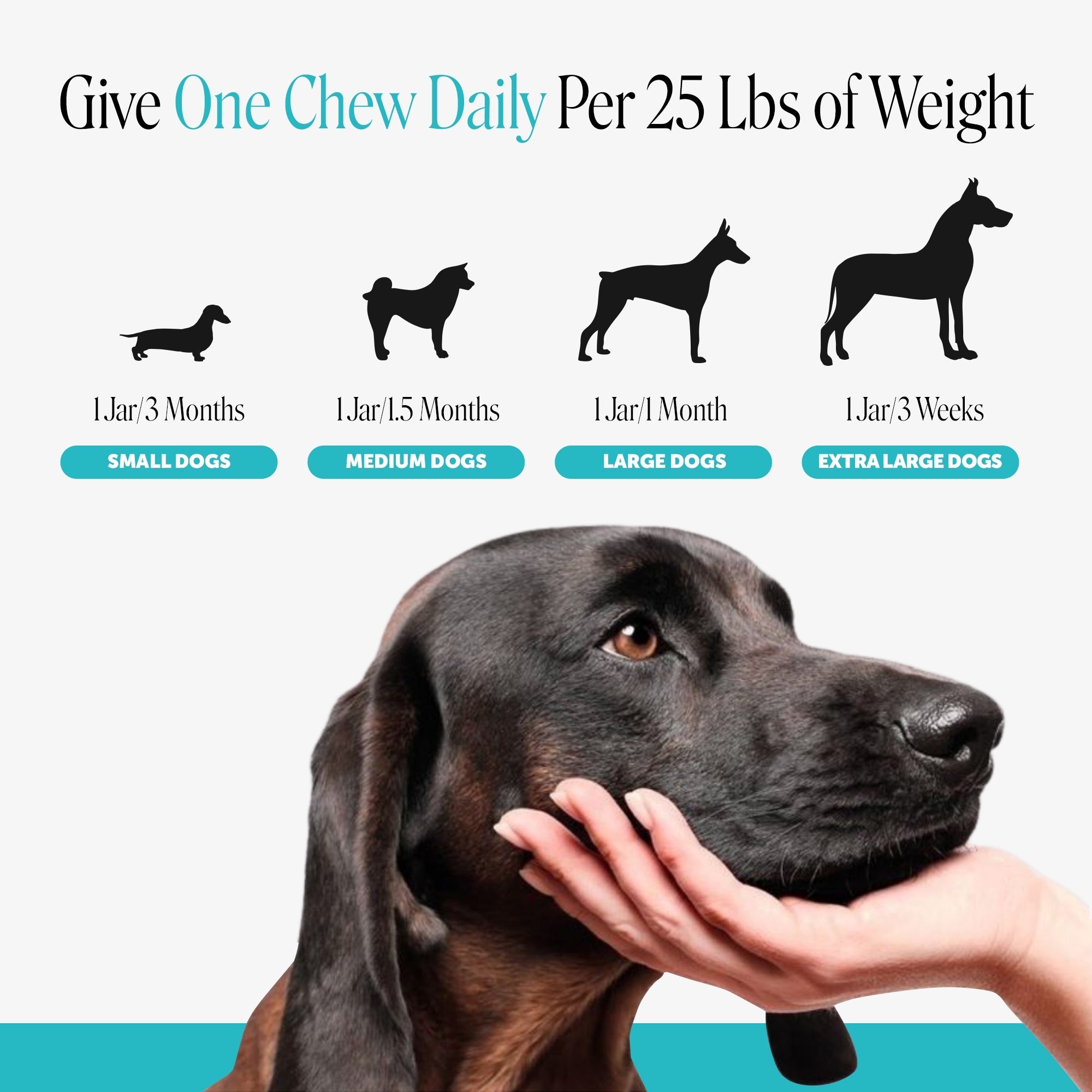 Hemp Calming Chews for Dogs (Beef Liver Flavor)