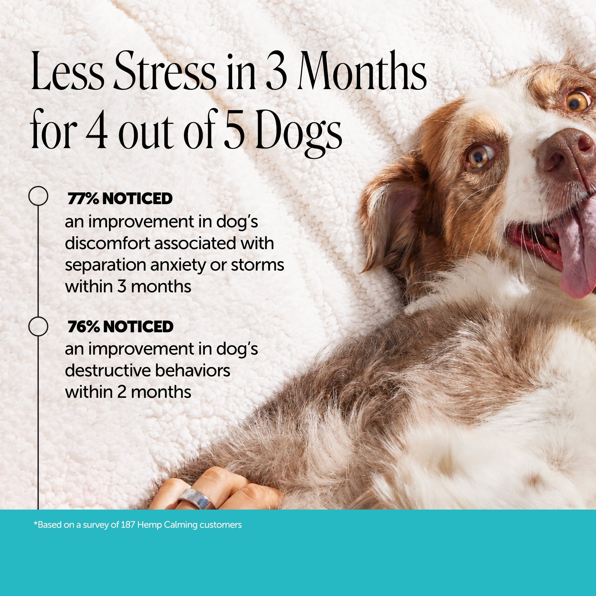 Hemp Calming Chews for Dogs (Chicken Flavor)