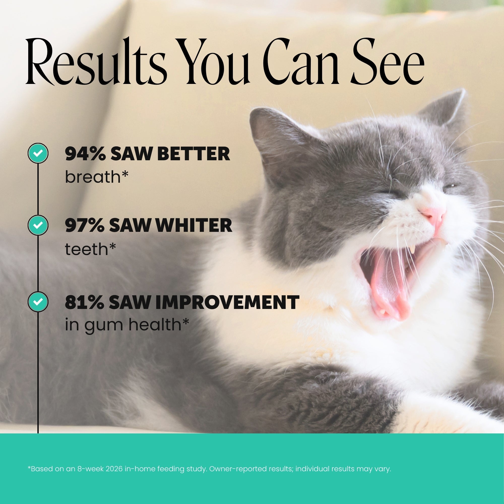 Dual-Texture Dental Bites for Cats 2-Pack (Chicken Flavor)