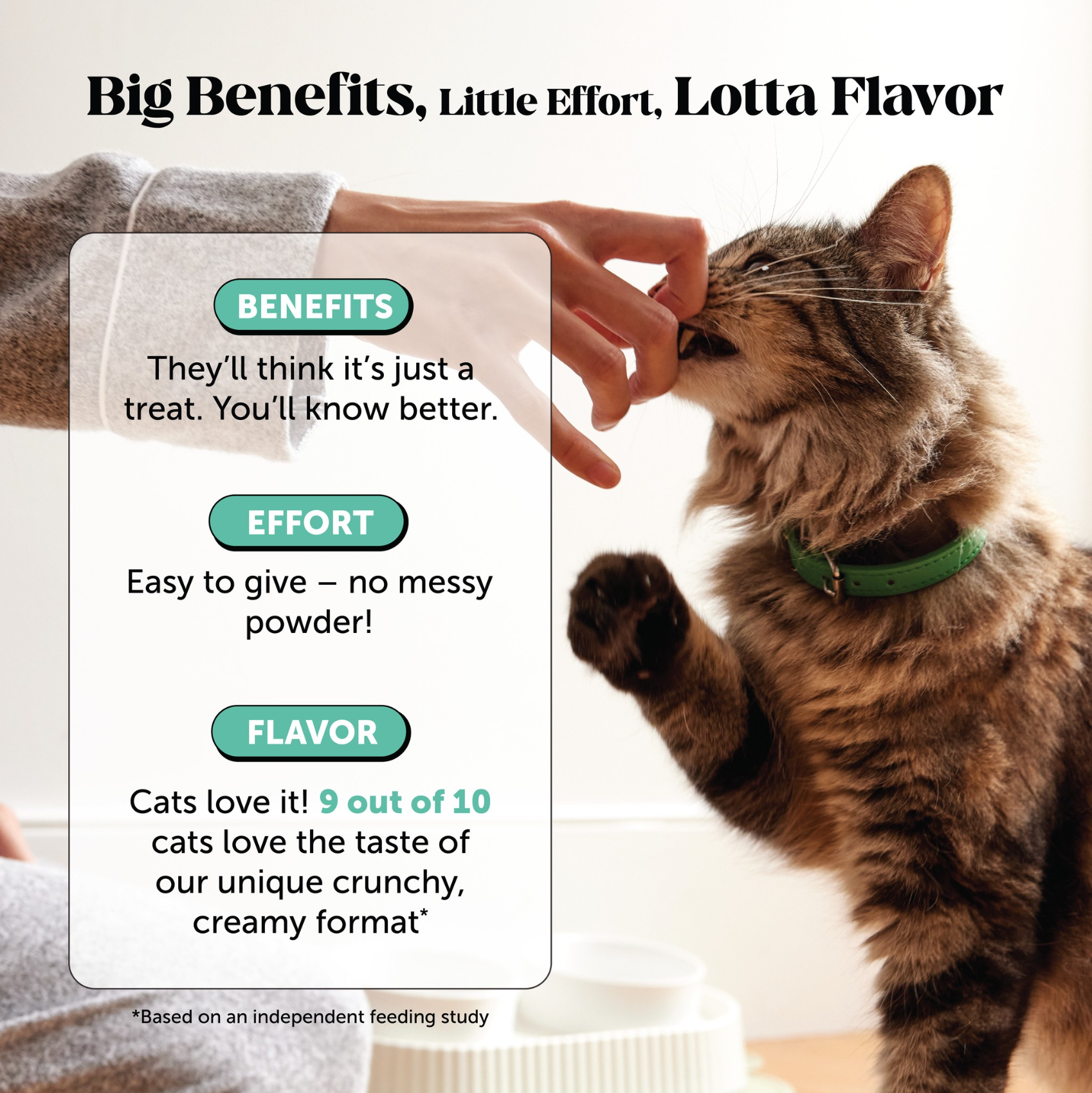 Dual-Texture Dental Bites for Cats 2-Pack (Chicken Flavor)
