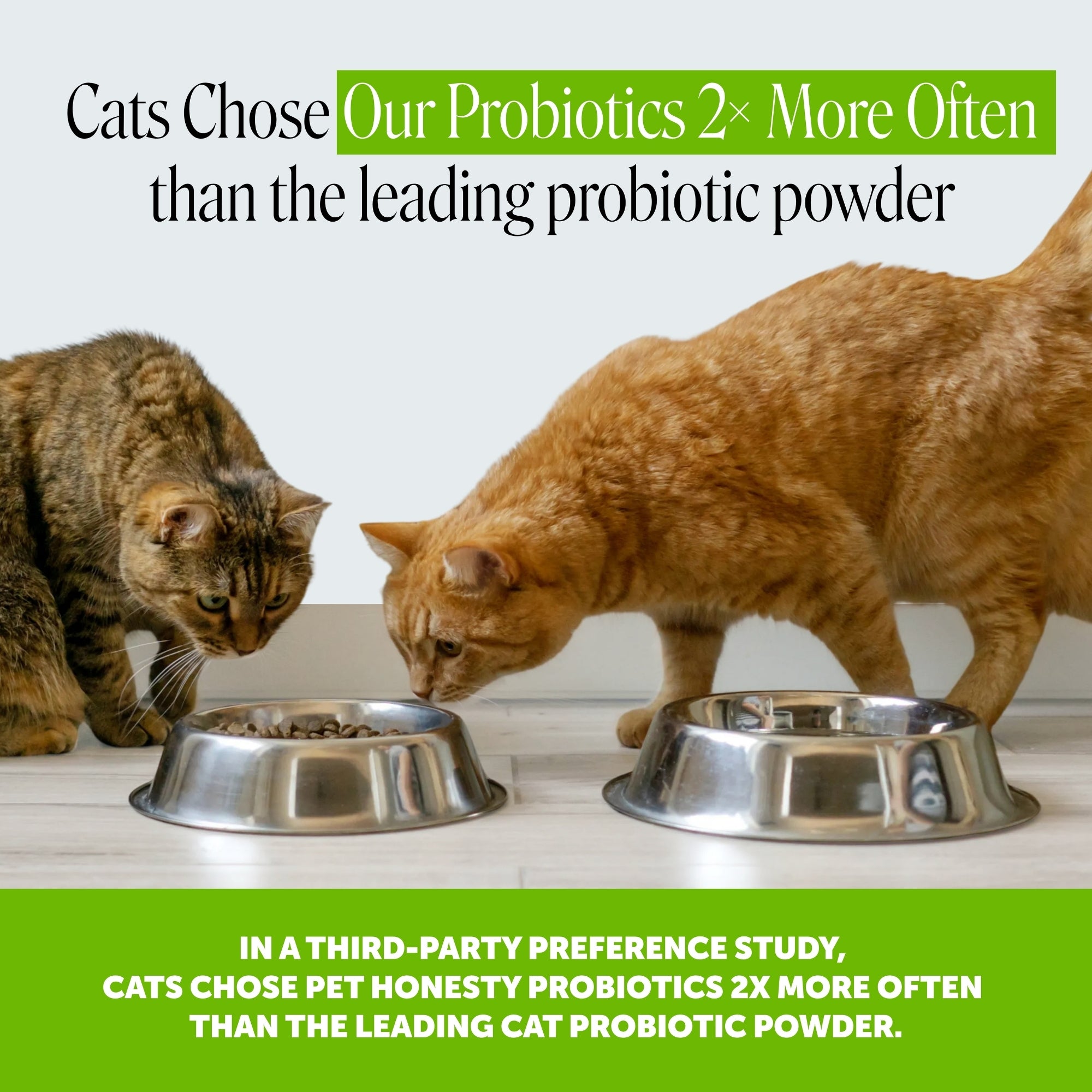 Dual Texture Probiotics Gut + Immune Health Supplement for Cats (Chicken Flavor) 10.5oz