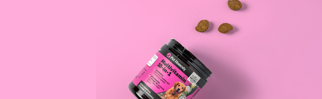 Dog Chews – Pet Honesty