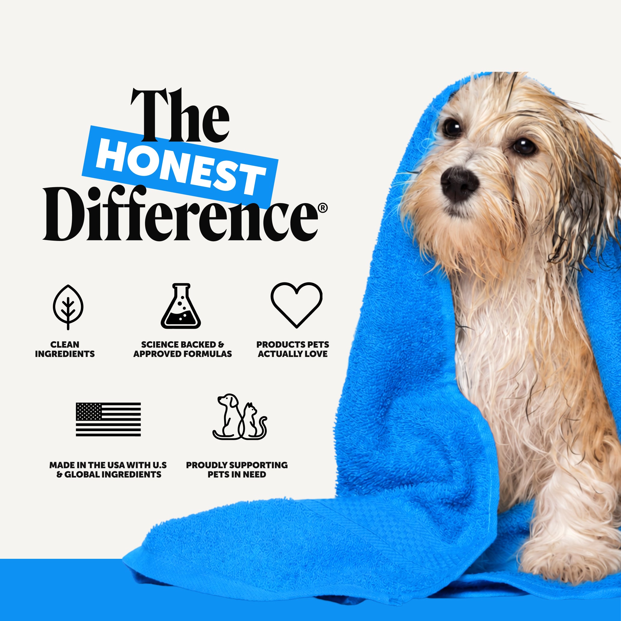Chlorhexidine Shampoo for Dogs (16 Ounce)