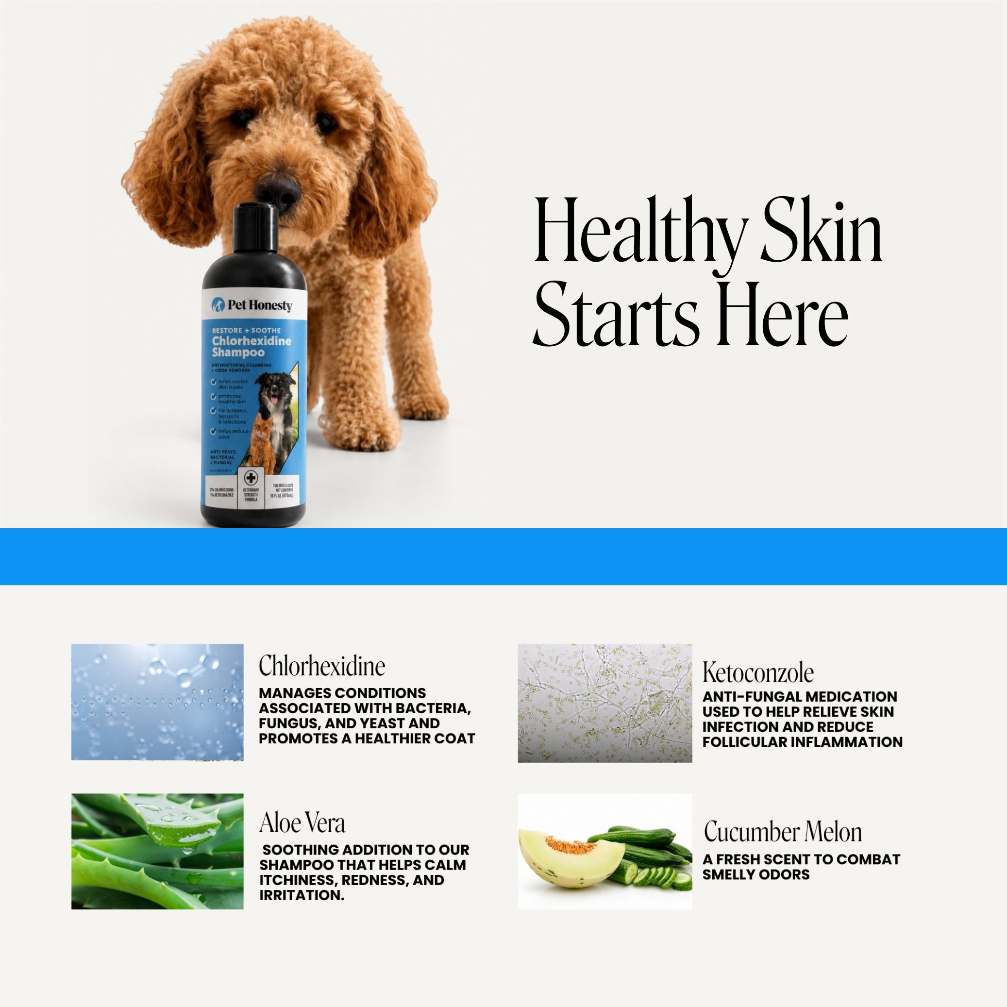 Chlorhexidine Shampoo for Dogs (16 Ounce)