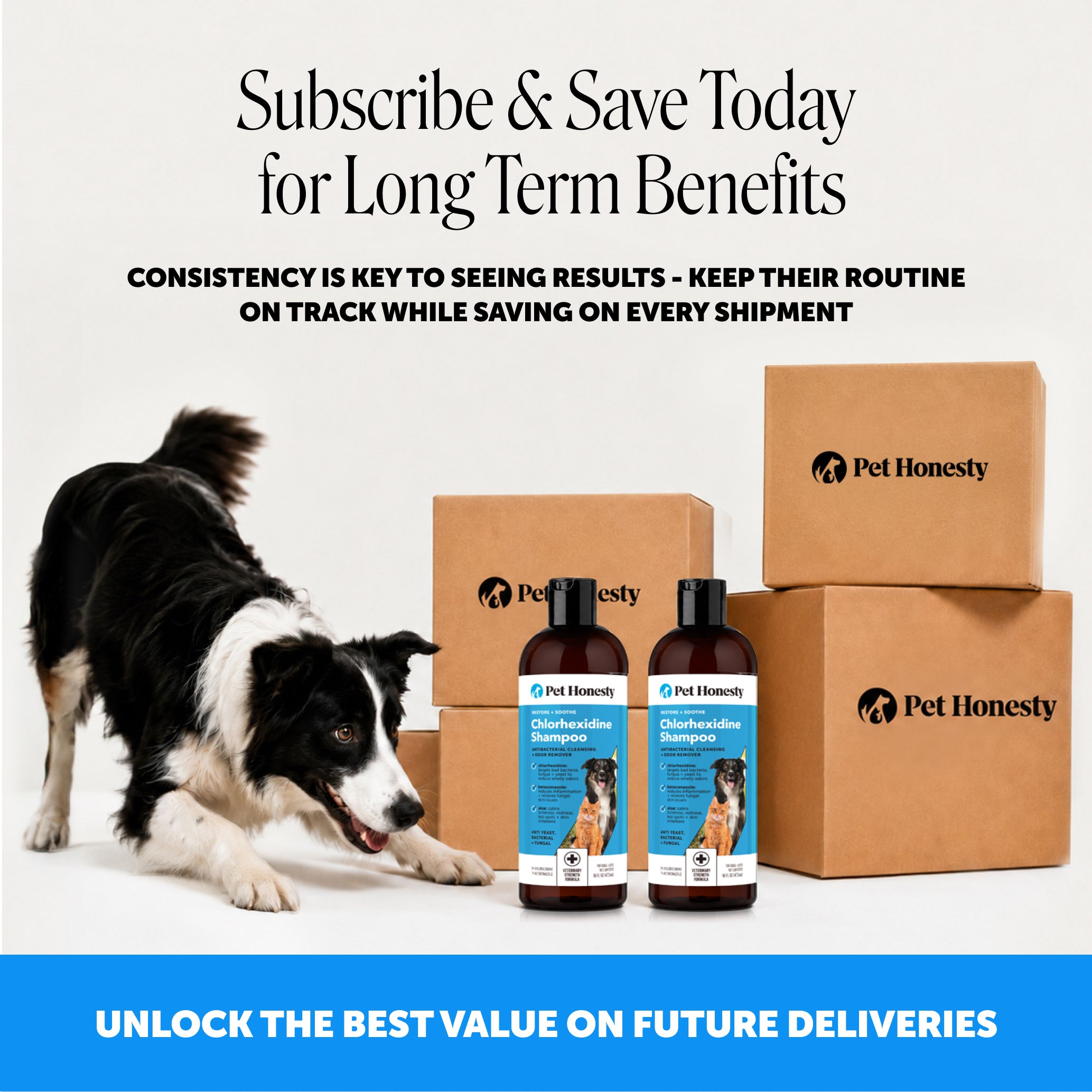 Chlorhexidine Shampoo for Dogs (16 Ounce)