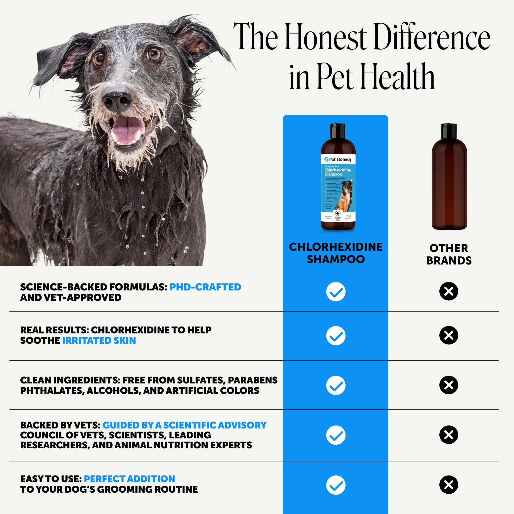 Chlorhexidine Shampoo for Dogs (16 Ounce)