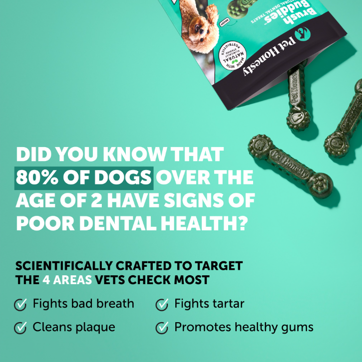 Brush Buddies All-Natural + Long Lasting Dental Treats for Small Sized Dogs - 3 Pack (75 Count)