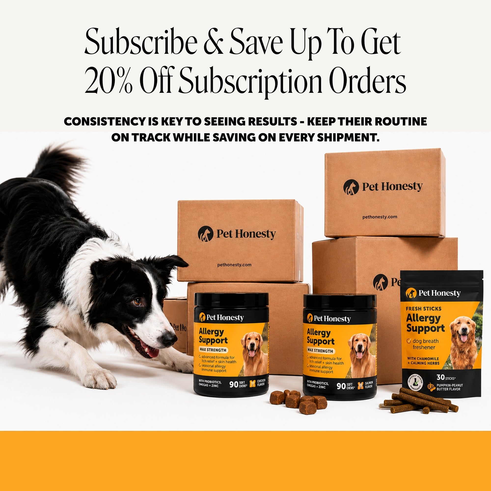 Allergy Support Chews for Dogs (Salmon Flavor)