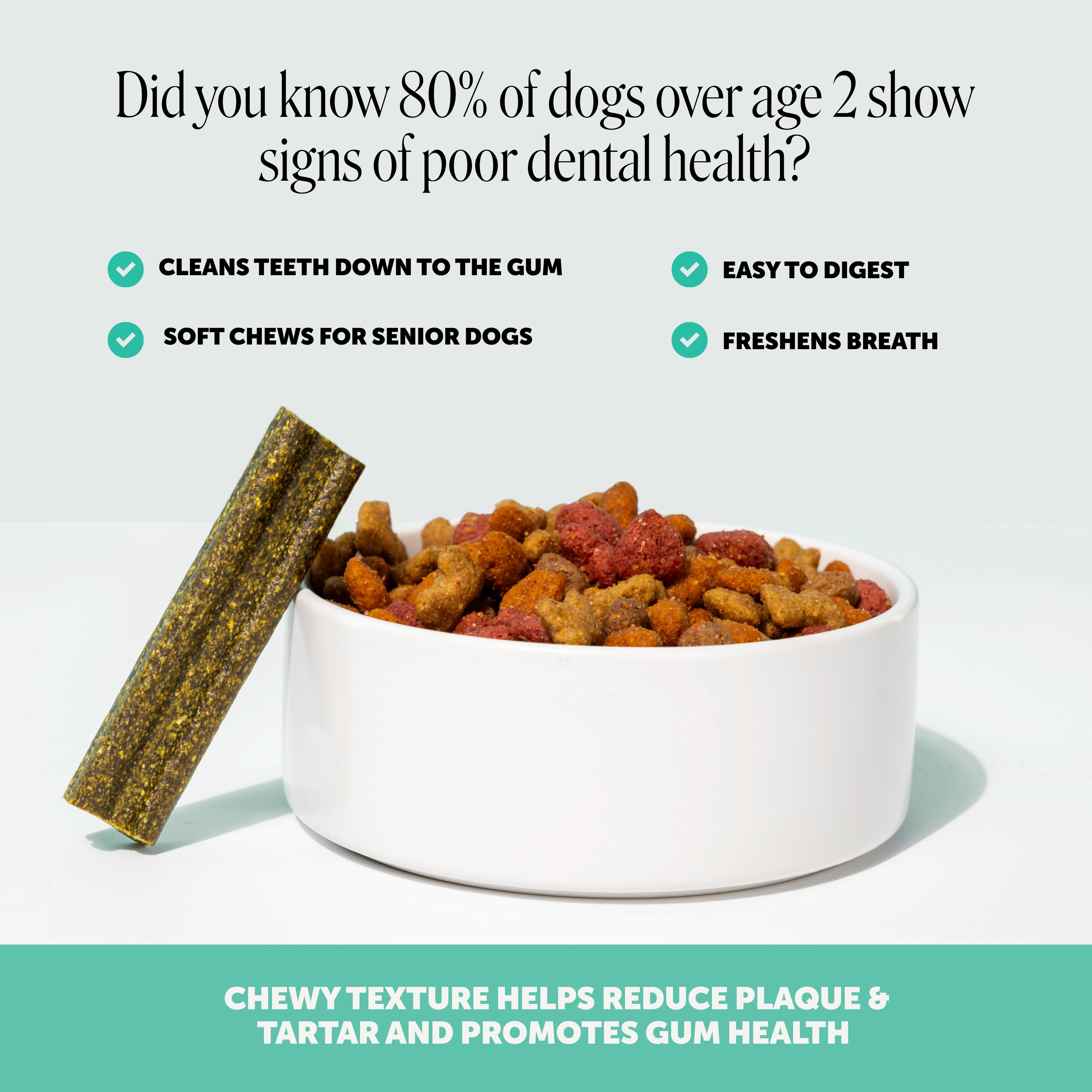 Fresh Breath Dental Treat Sticks for Dogs - Mint (16 Ct Pouch)