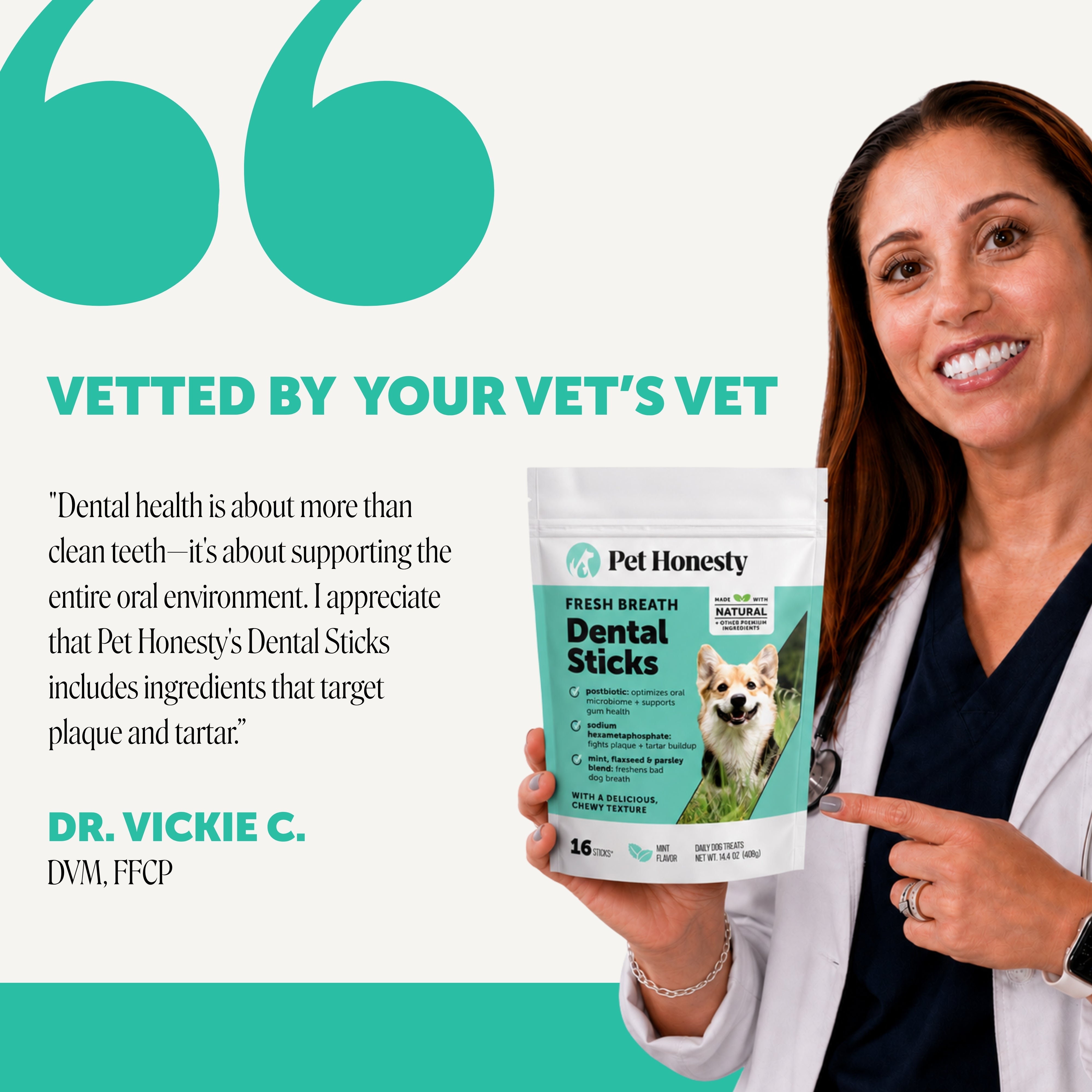 Fresh Breath Dental Treat Sticks for Dogs - Mint (16 Ct Pouch)