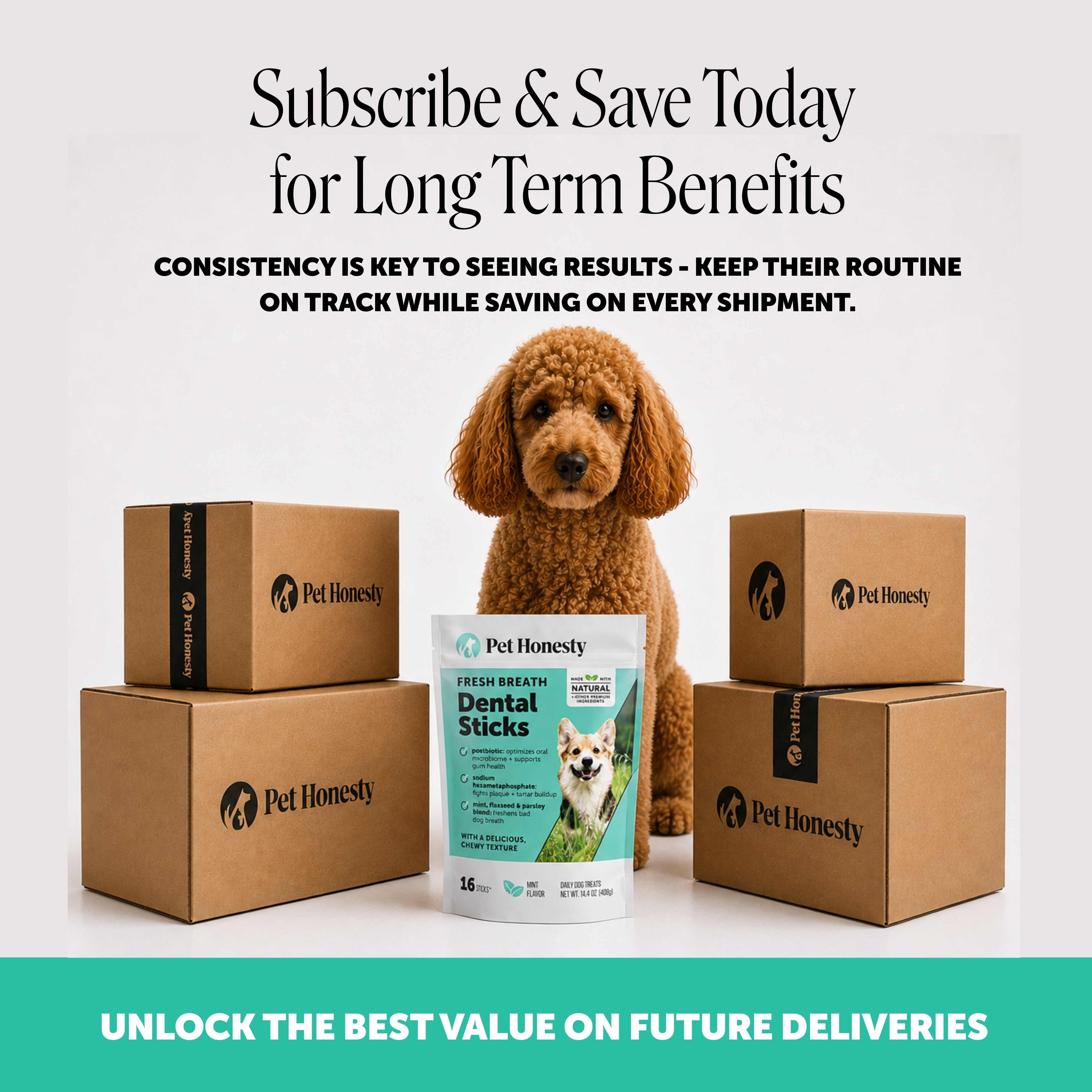Fresh Breath Dental Treat Sticks for Dogs - Mint (16 Ct Pouch)