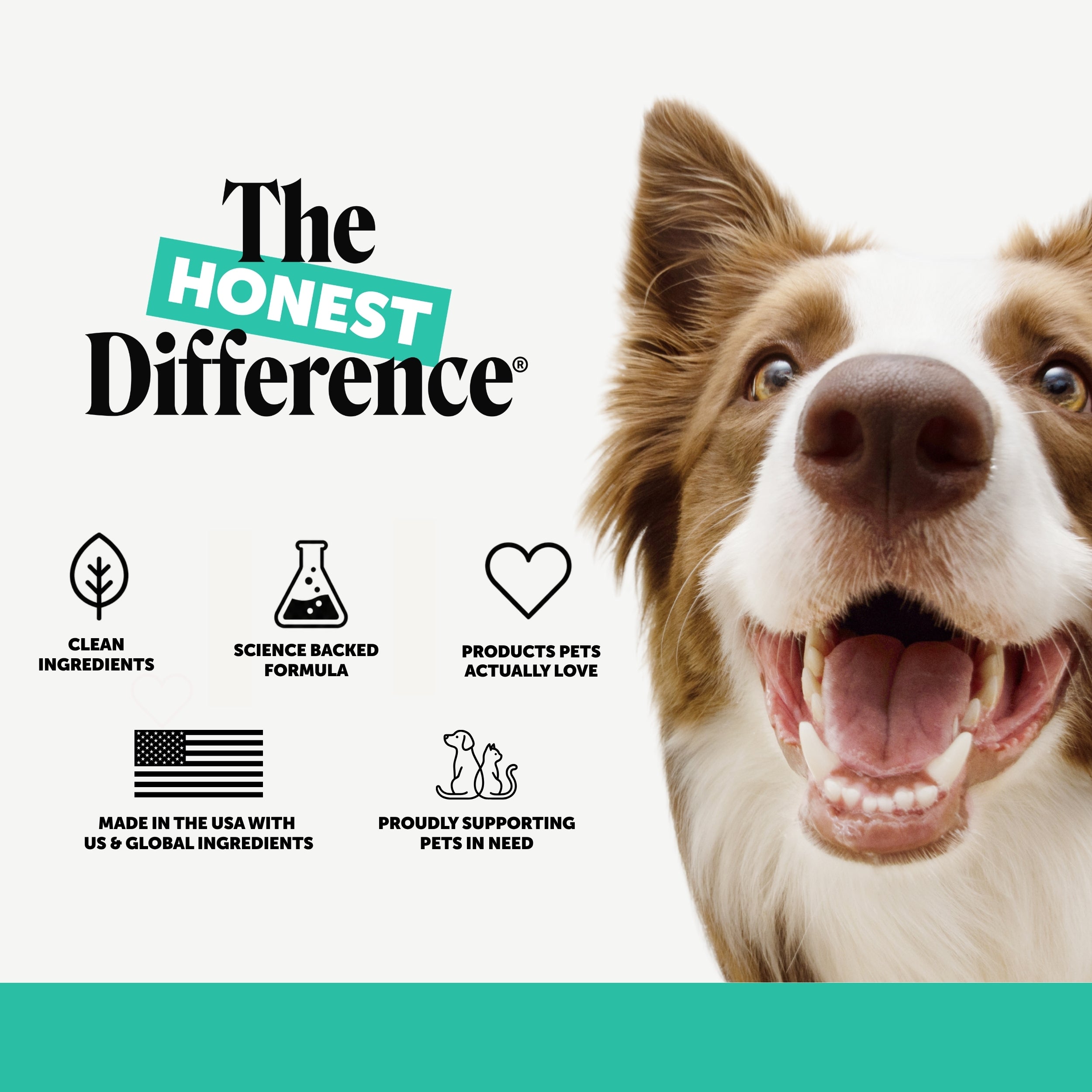 Fresh Breath Dental Wipes for Dogs and Cats - 30 ct