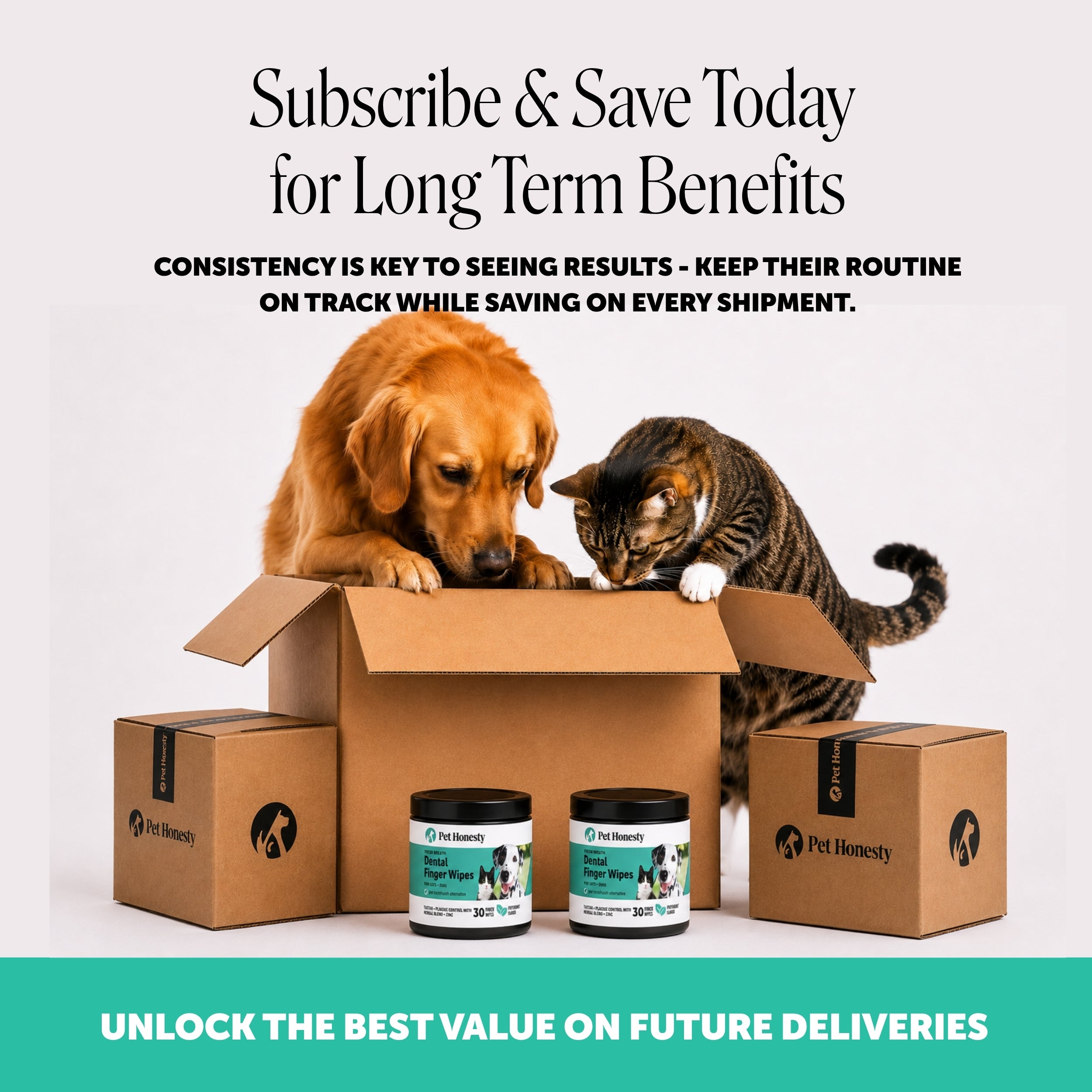 Fresh Breath Dental Wipes for Dogs and Cats - 30 ct
