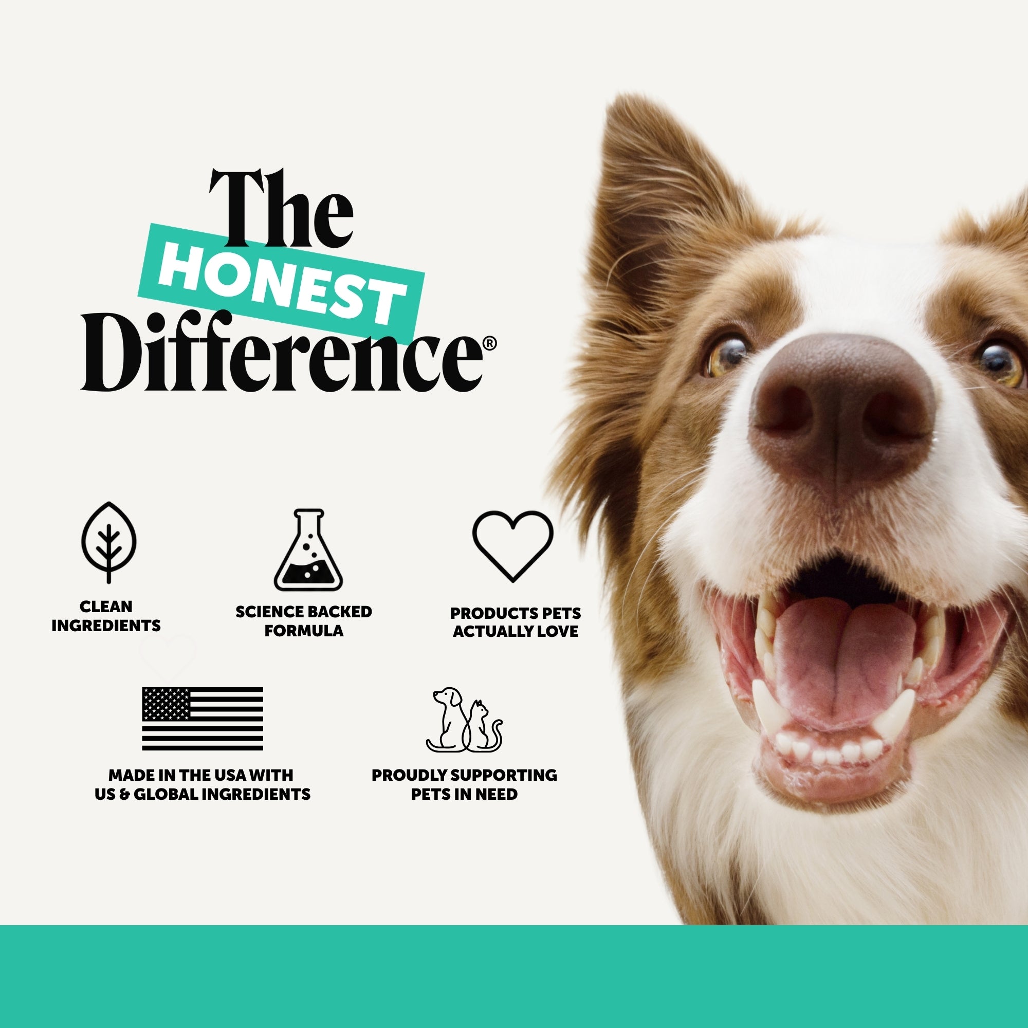 Fresh Breath Dental Powder for Dogs (30 servings)