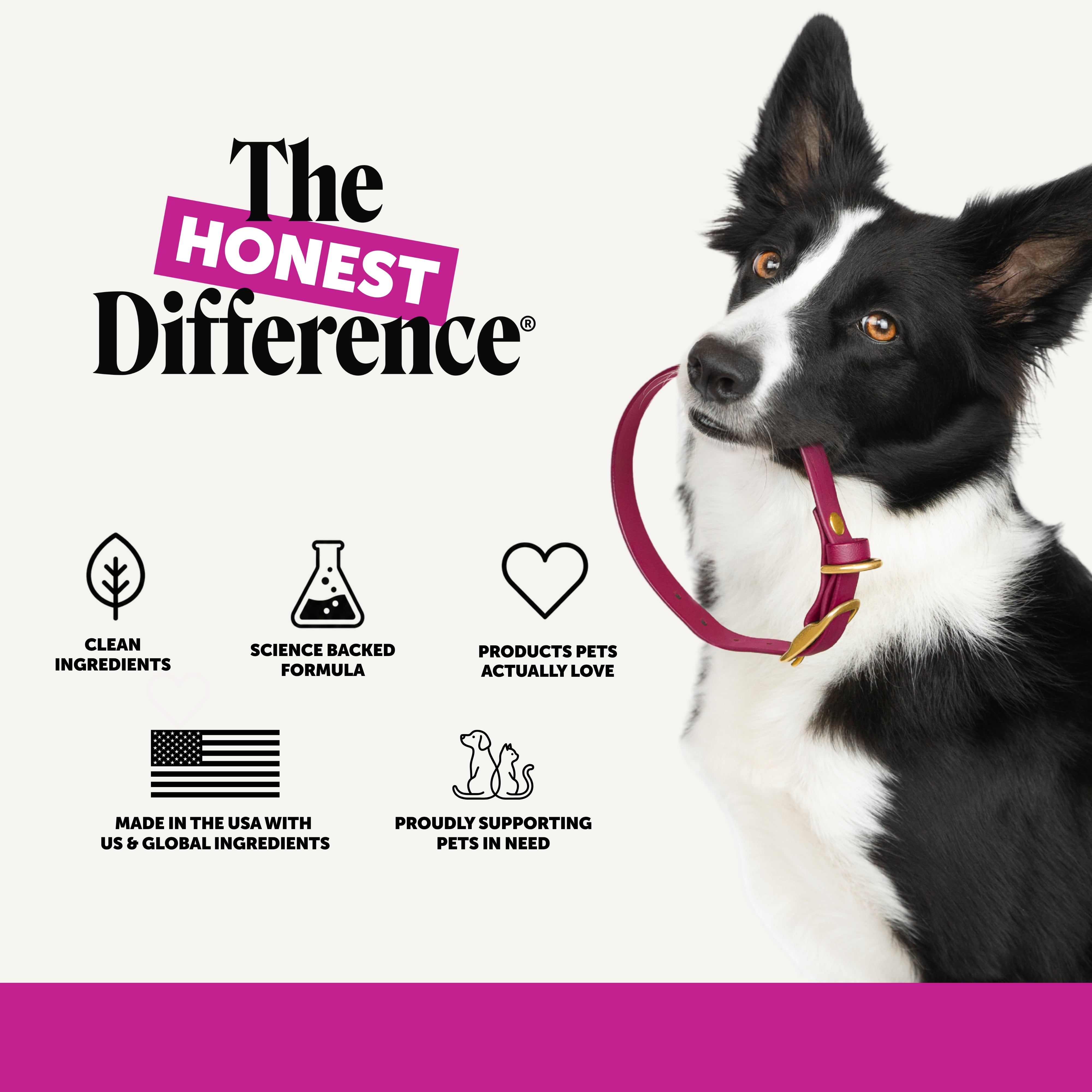Multivitamin 10-in-1 Chews for Dogs (Chicken Flavor)