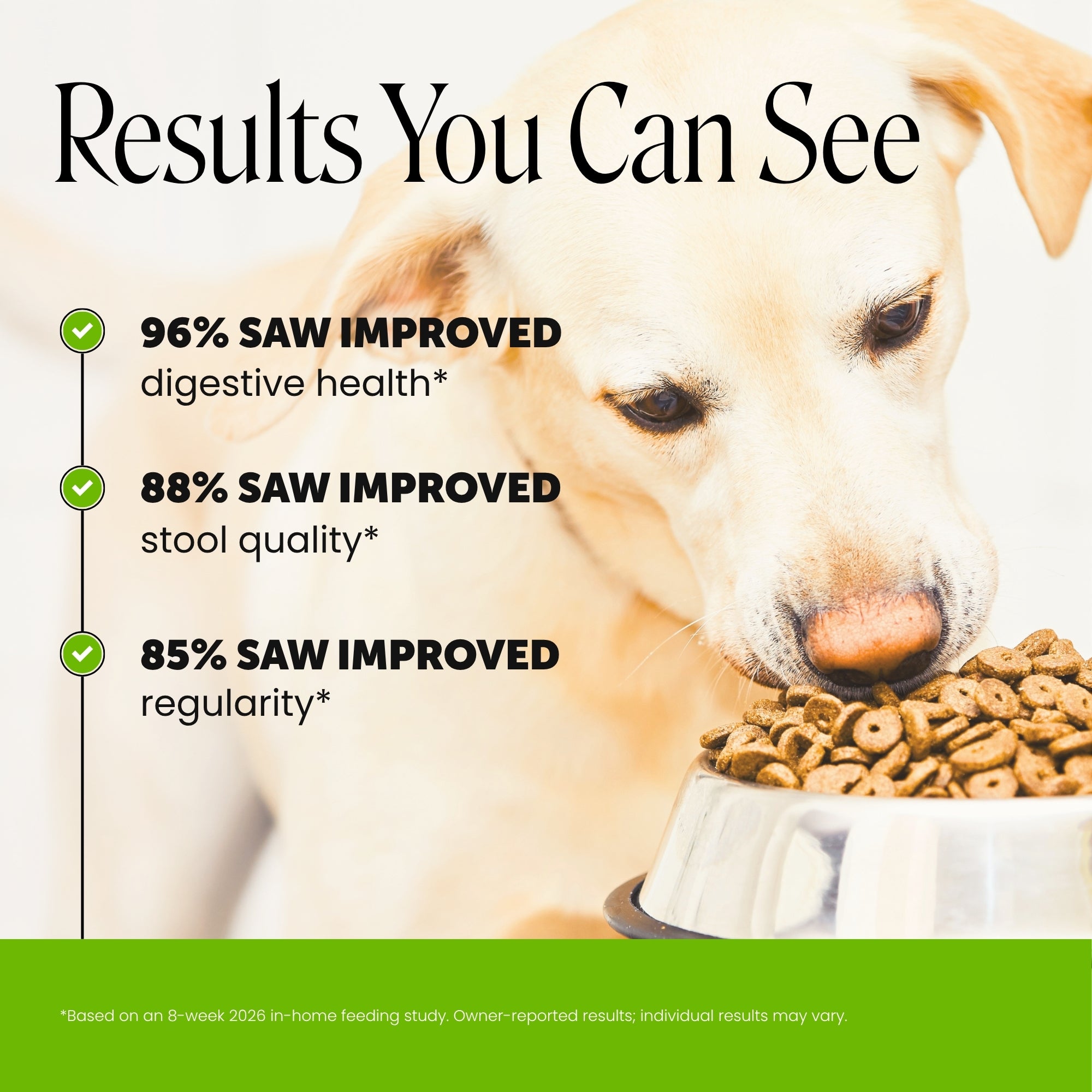 Gut + Immune Health Digestive Probiotic Chews for Dogs (Duck Flavor)