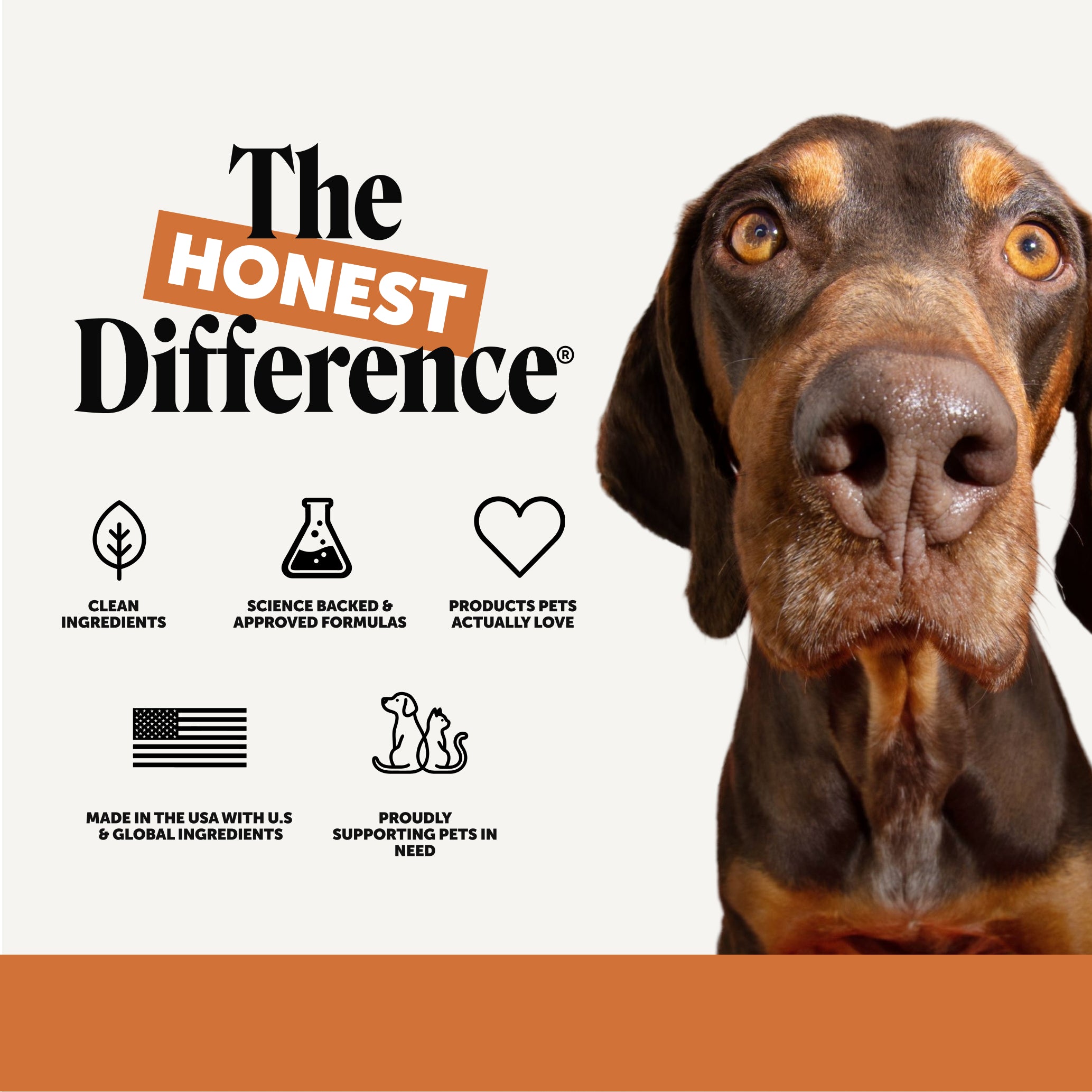 Flea + Tick Support for Dogs (Bacon Flavor)