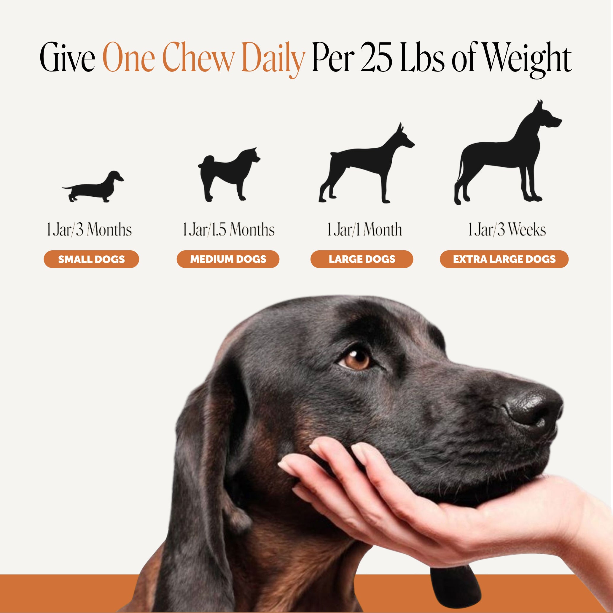 Flea + Tick Support for Dogs (Bacon Flavor)