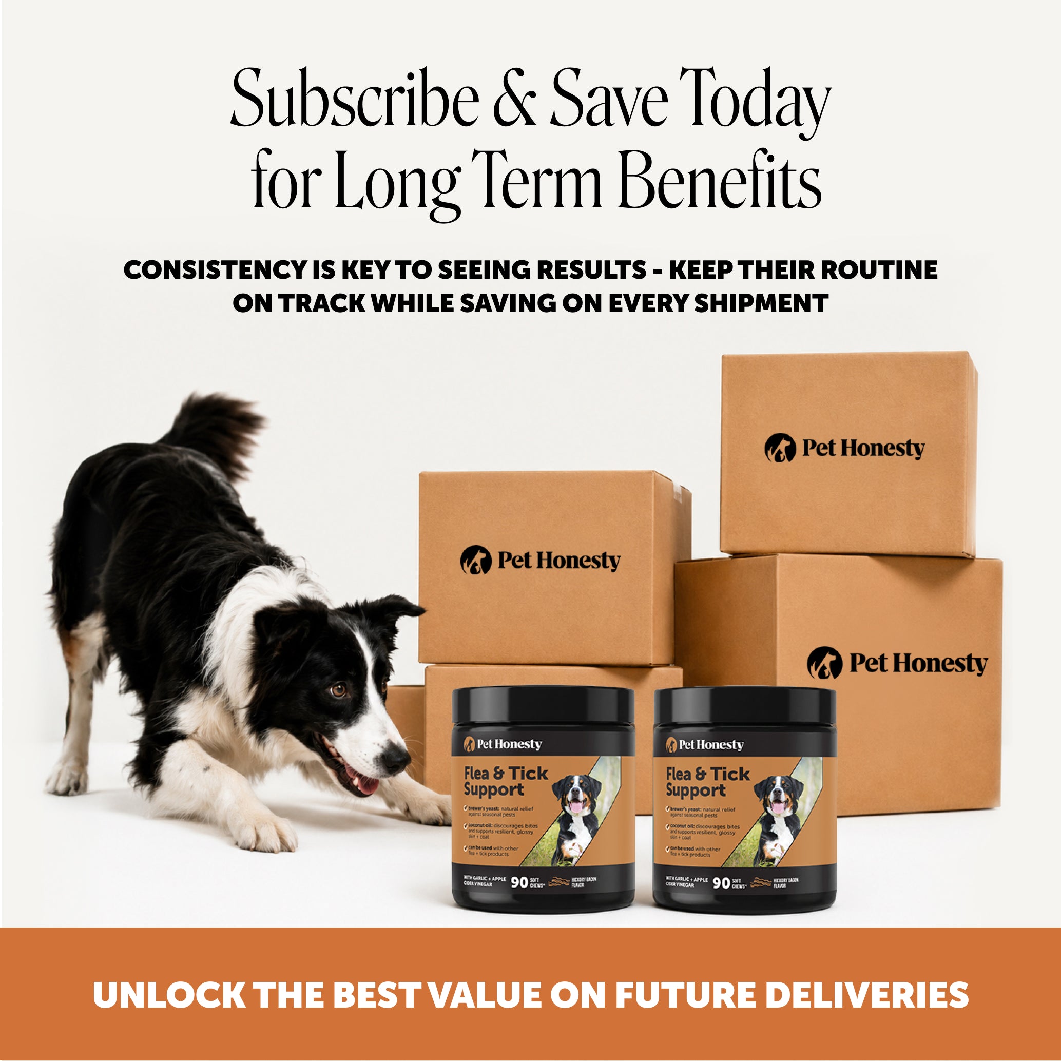 Flea + Tick Support for Dogs (Bacon Flavor)