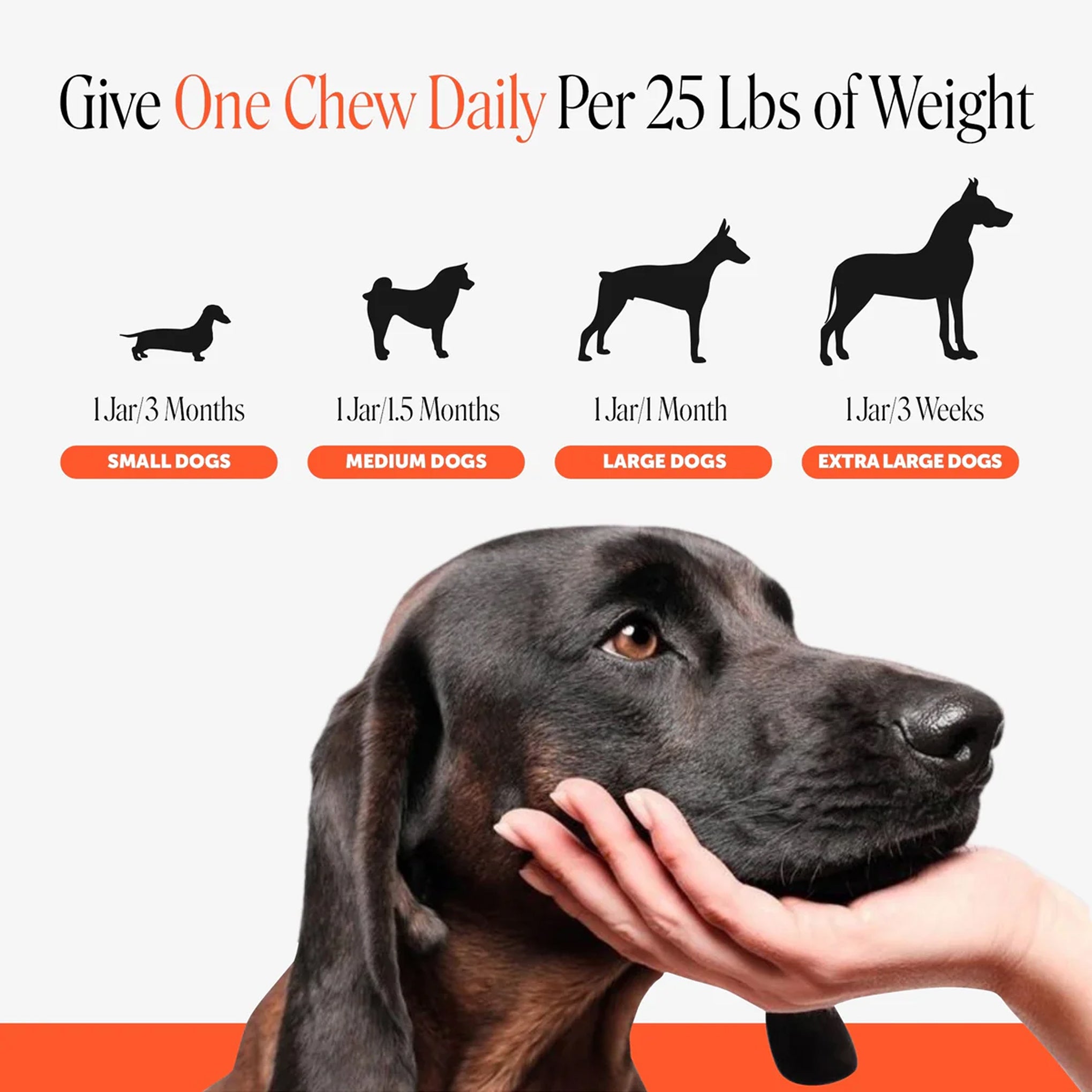 Hip + Joint Health Max Strength (Bacon Flavor)