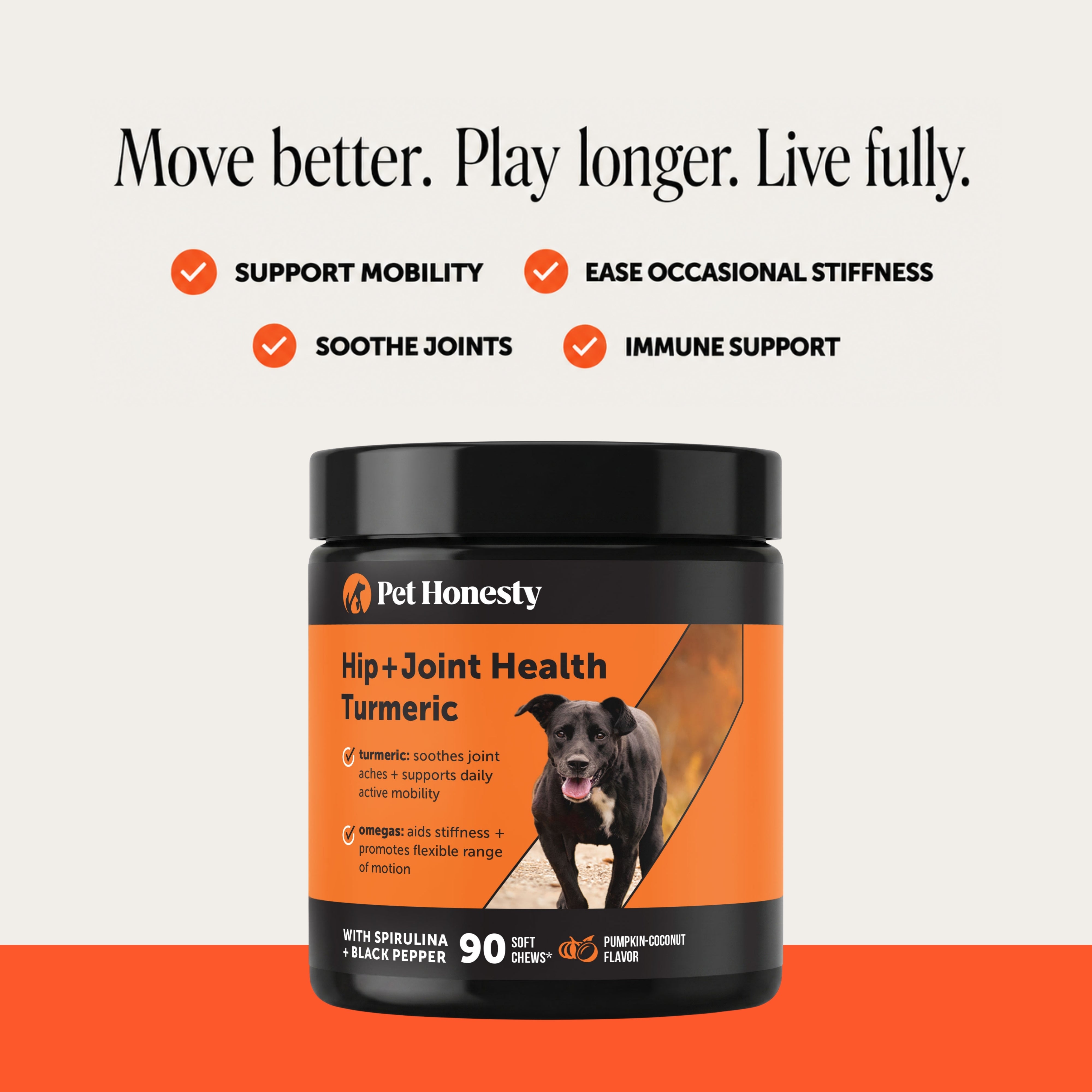 Hip + Joint Health Turmeric (Pumpkin Coconut Flavor)