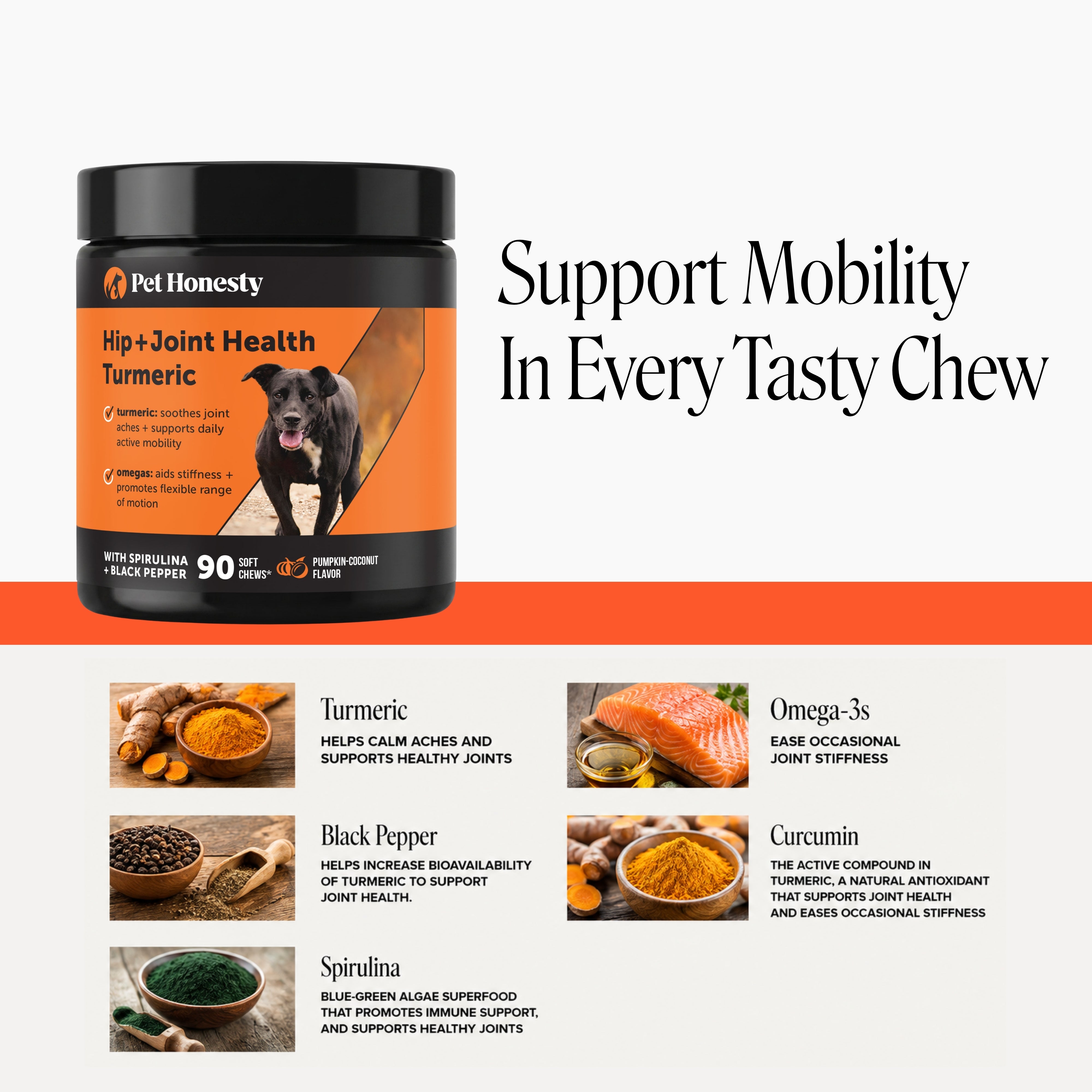 Hip + Joint Health Turmeric (Pumpkin Coconut Flavor)