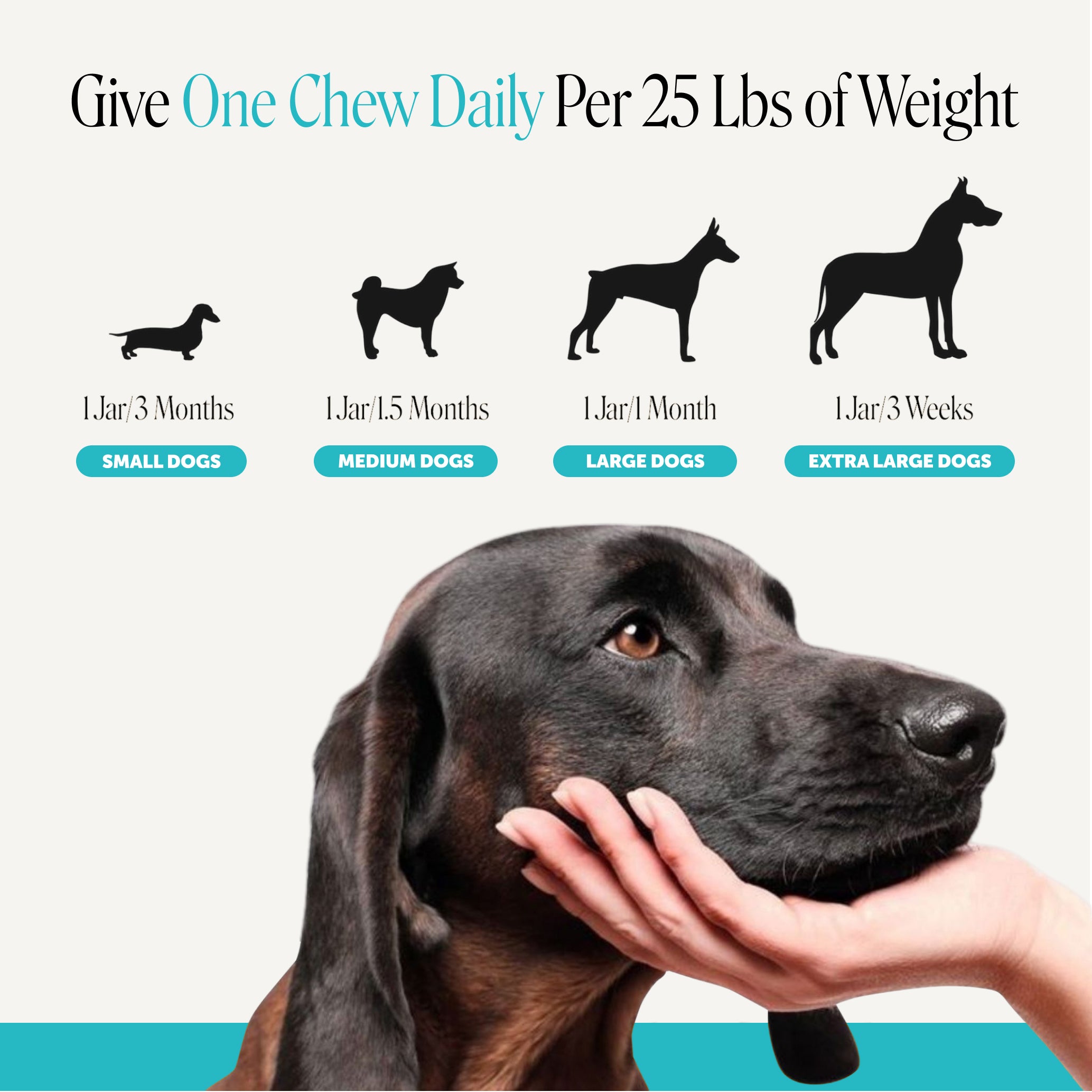 Hemp Calming Max Strength for Dogs (Duck Flavor)