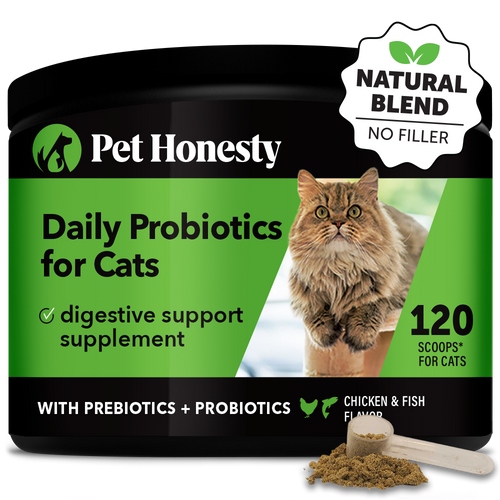 Cat Probiotics Powder Single Pack PetHonesty